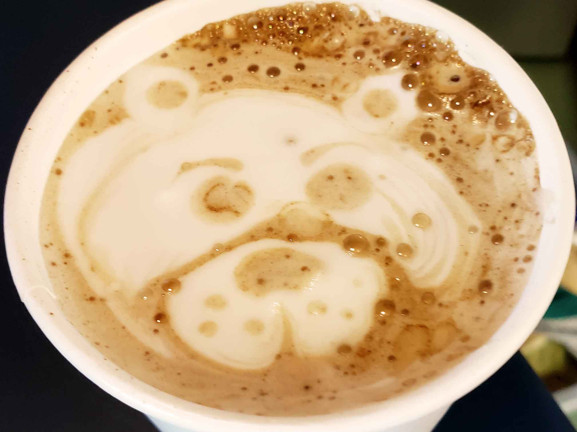 SnowDome Bear Latte Art