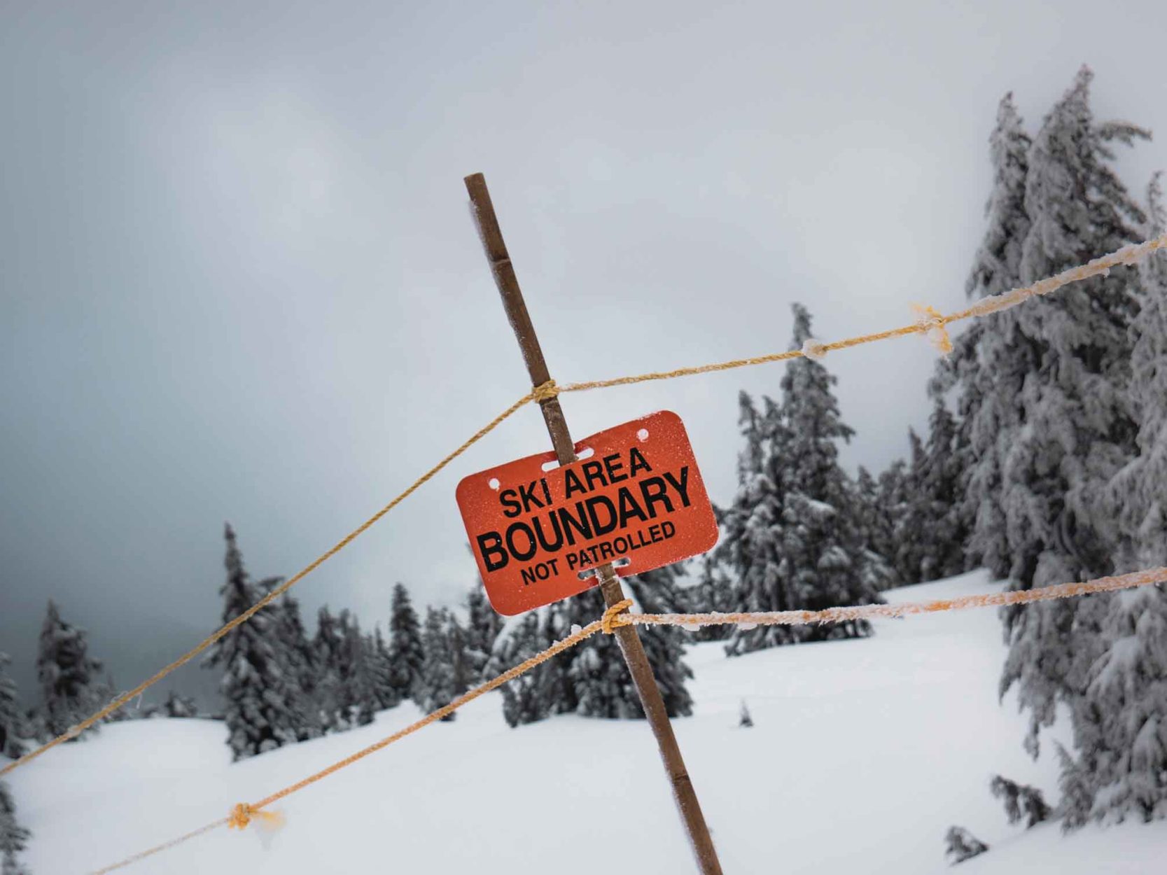 Avalanche Safety in the Mountains: Know Before You Go Main Photo