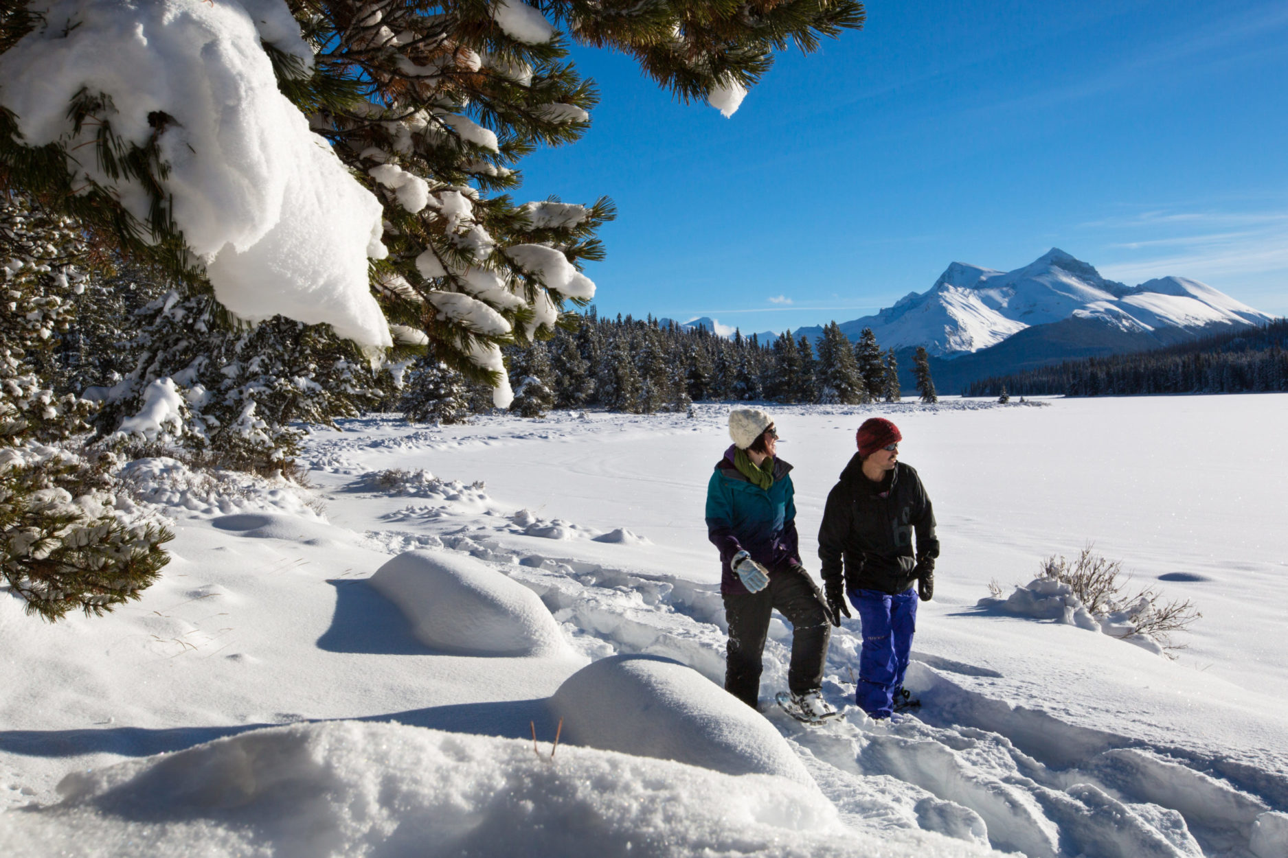 Winter in the Rockies