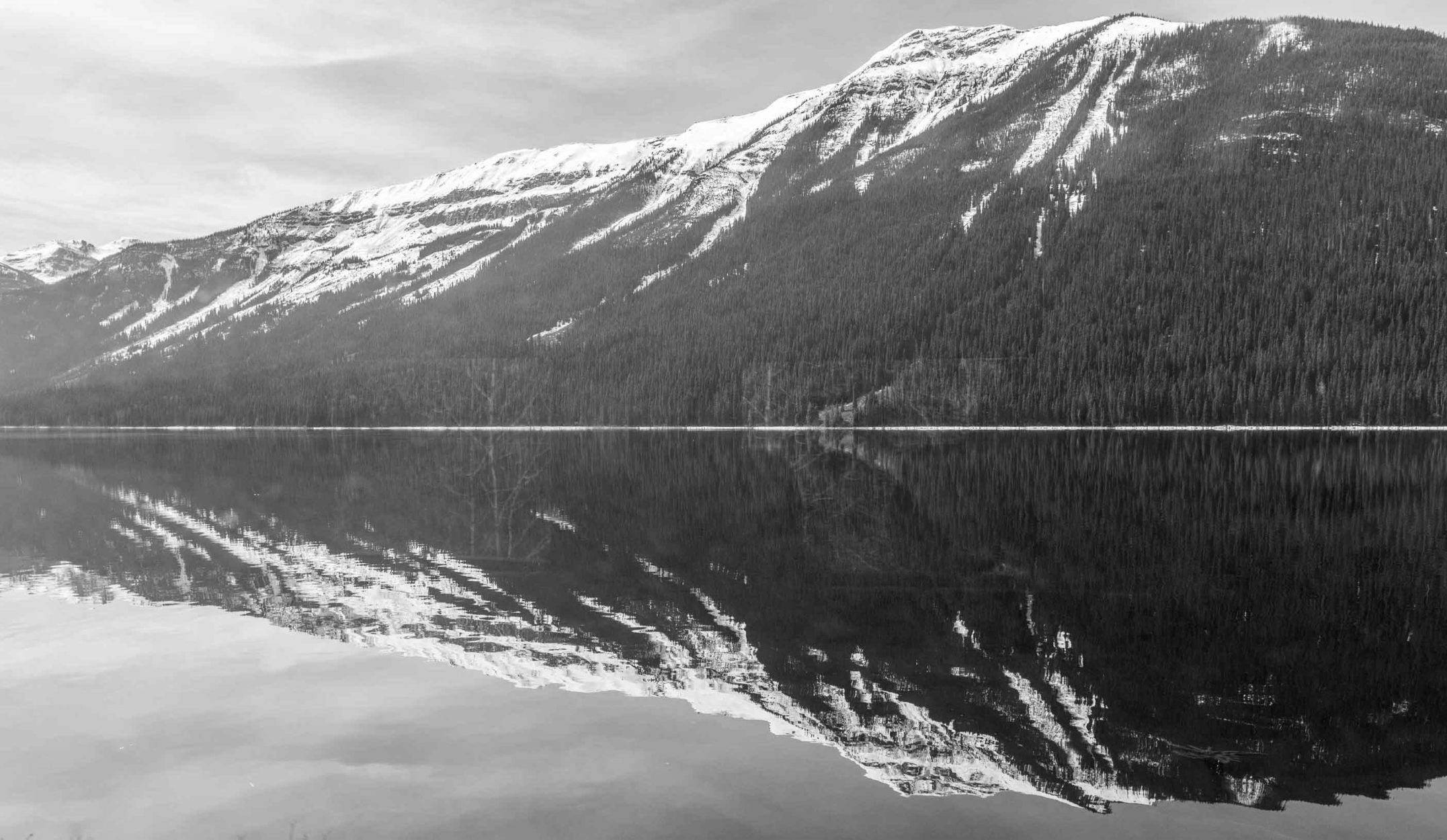 Riding Among the Giants: Through the Rockies Aboard The Canadian Main Photo