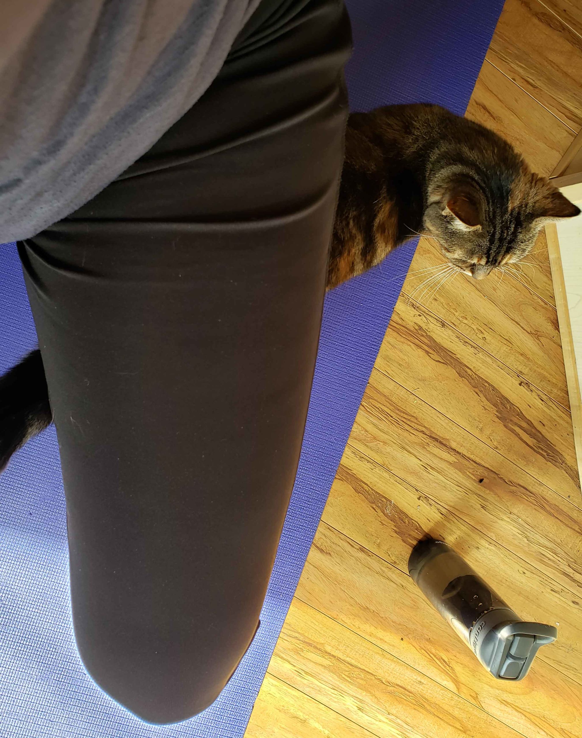 Perspective shot of leg stretching on a purple yoga mat with a water bottle and a cat getting in the way. Taken for the Strides Virtual Challenge.
