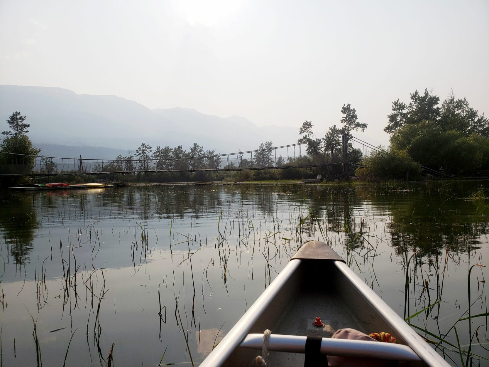 Discover the Unexpected at Columbia Wetlands Outpost on Where Rockies