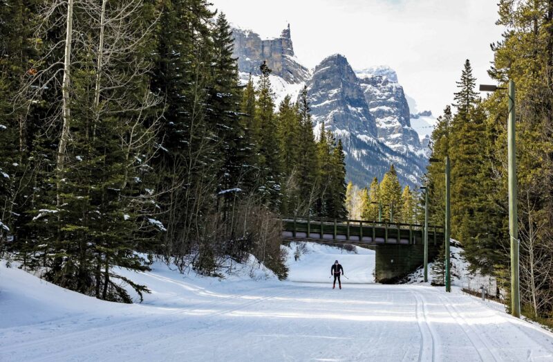 A cross country skier at the Canmore Nordic Centre
