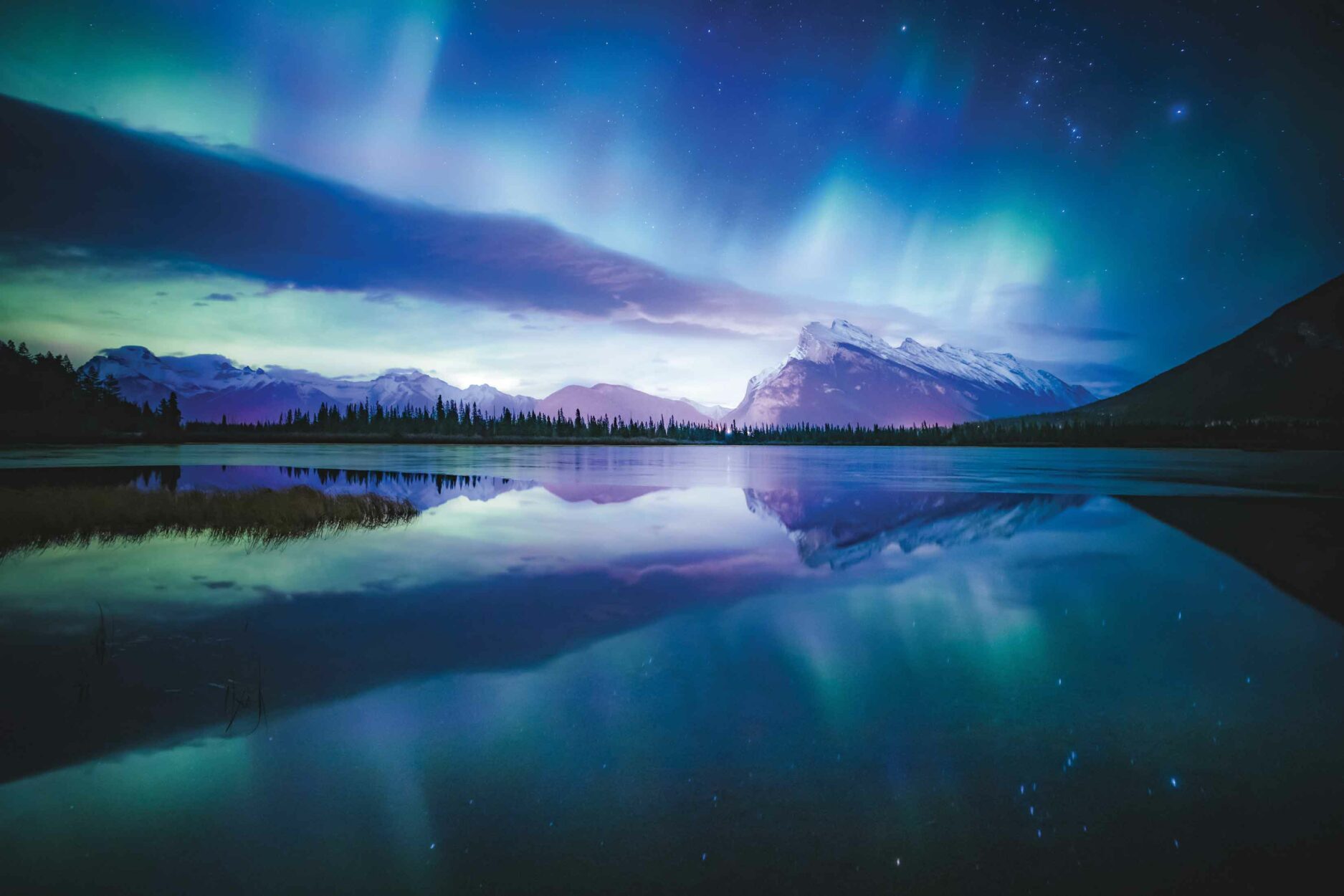 The Greatest Show on Earth: A Symphony of Light in the Canadian Rockies Main Photo