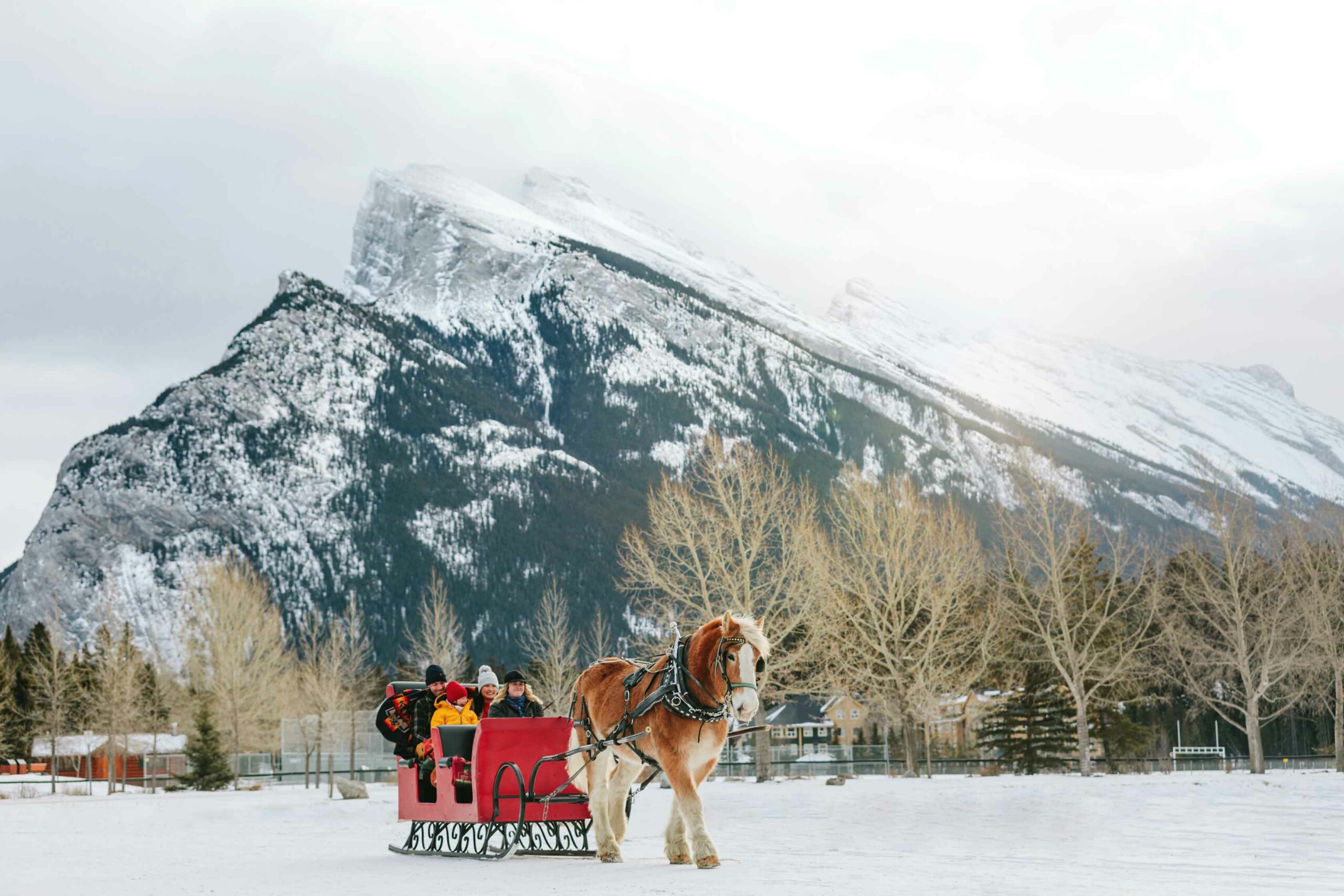 A sleigh ride is a great winter activity in the mountains