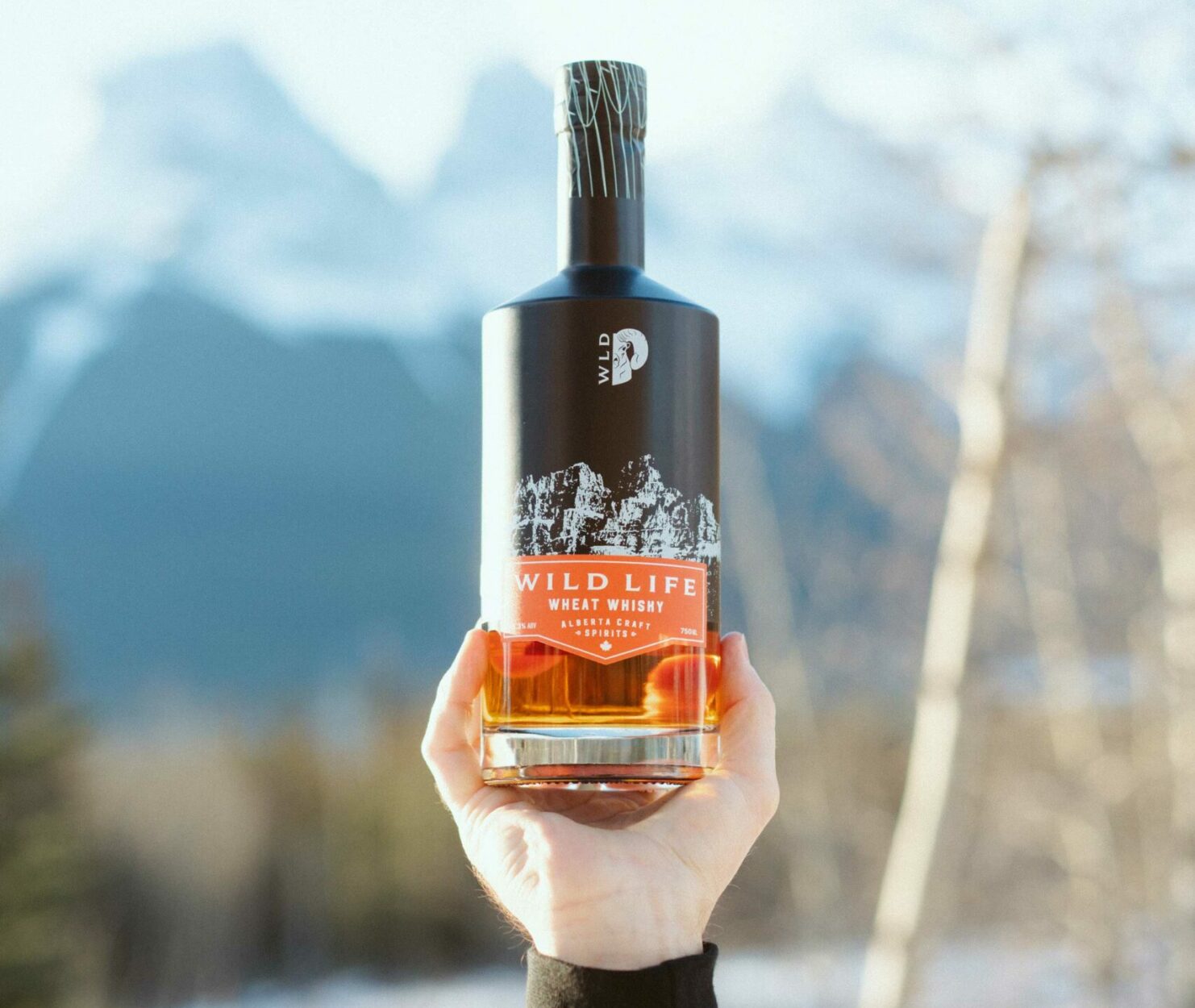 Wild Life Whisky Winning Hearts on Where Rockies