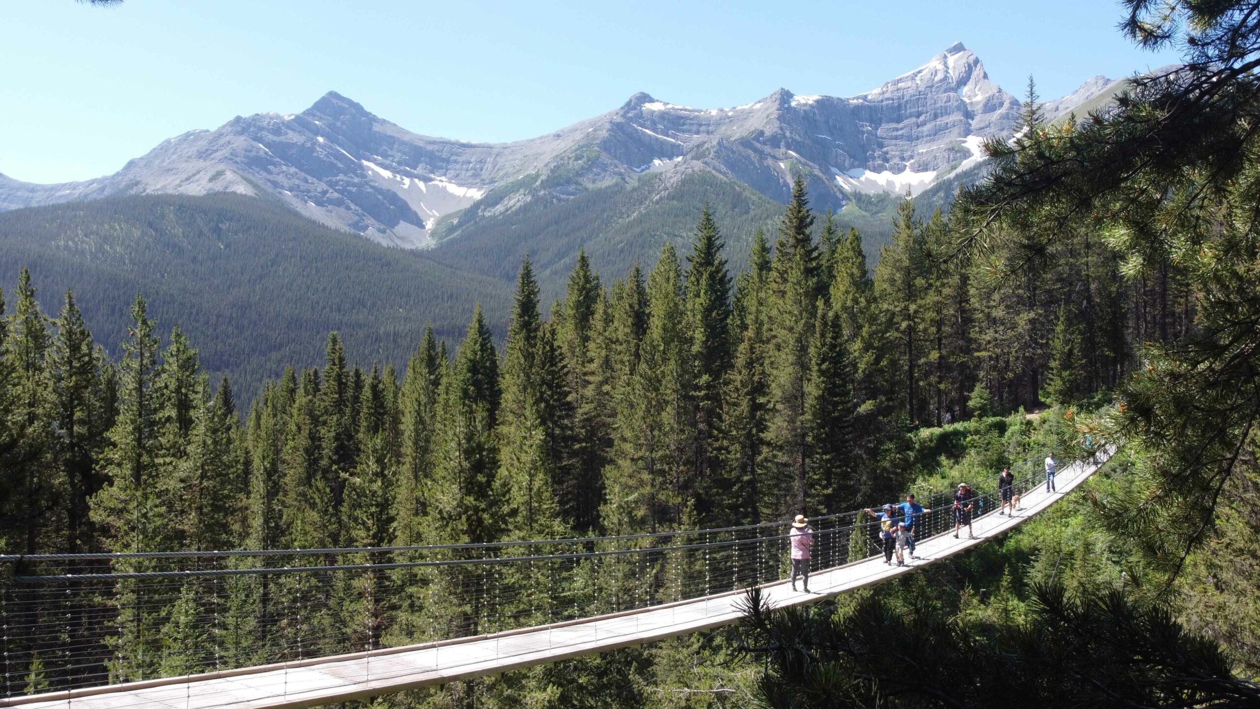 The Blackshale Suspension Bridge is one of those Kananaskis Hikes that is relatively easy for a great reward. 