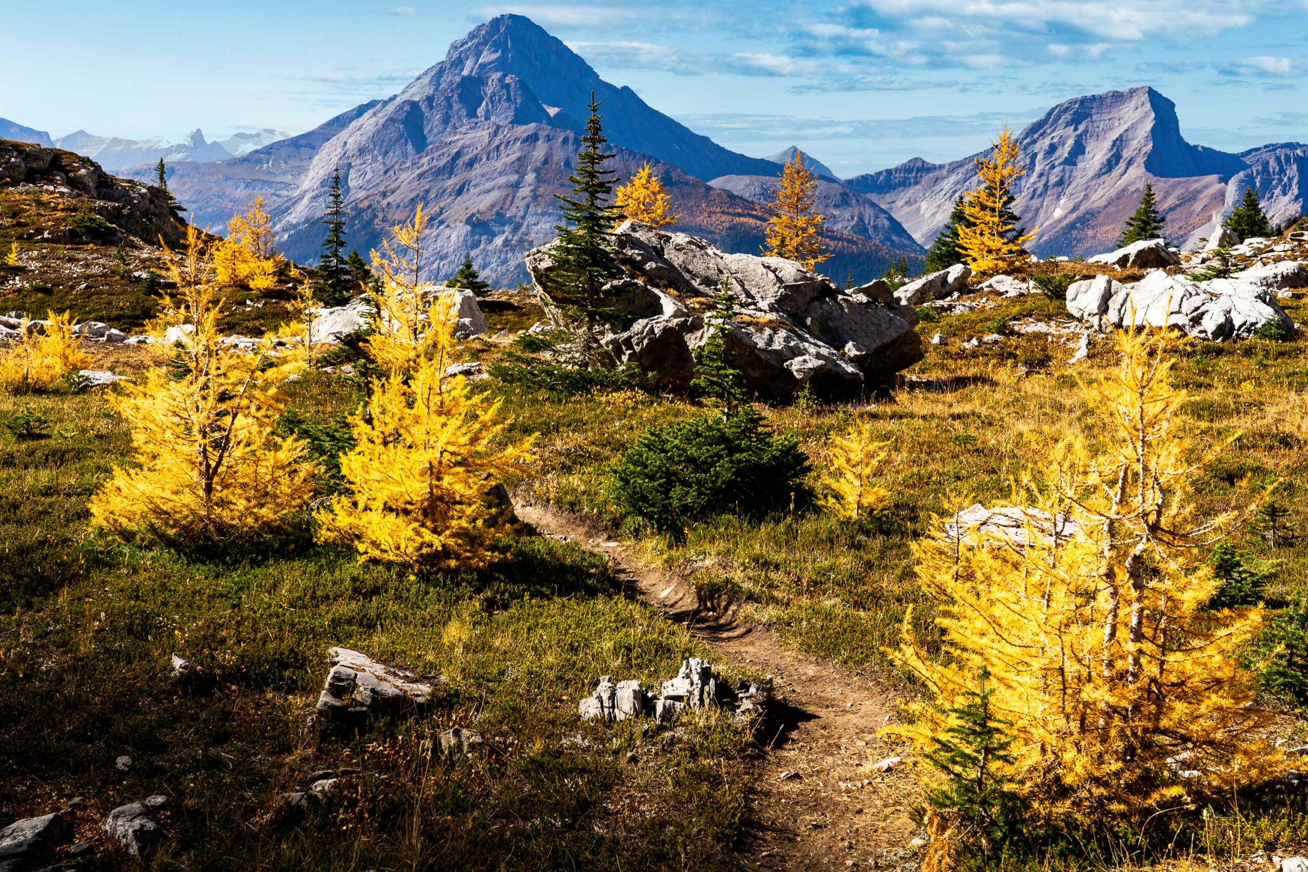 Ptarmigan Cirque is one of the great Kananaskis hikes because it reaches the alpine after a relatively short climb. It's great to check out during the summer and fall. 