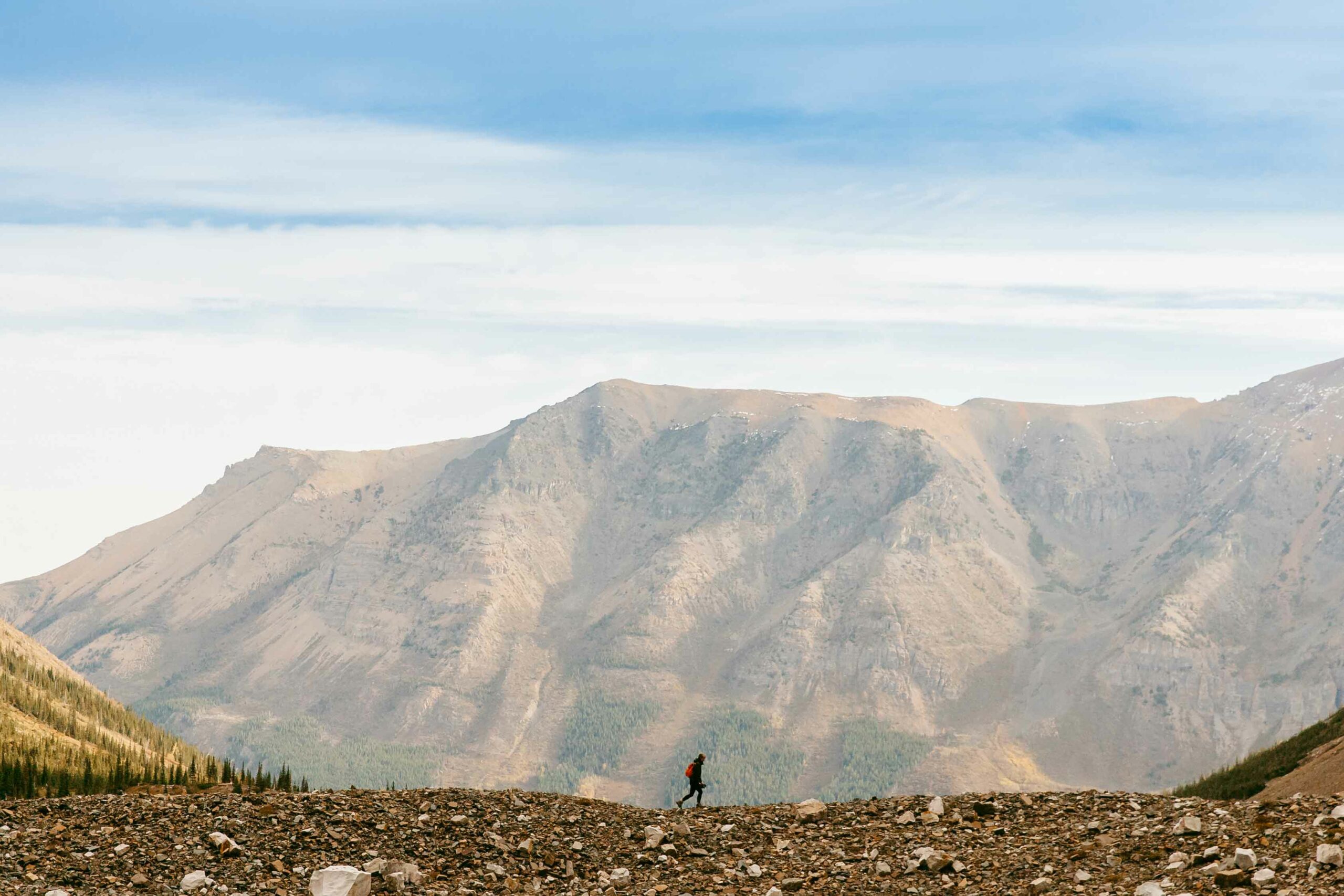 Wide shot of person hiking the trails at Castle Provincial Park in Southwestern Alberta