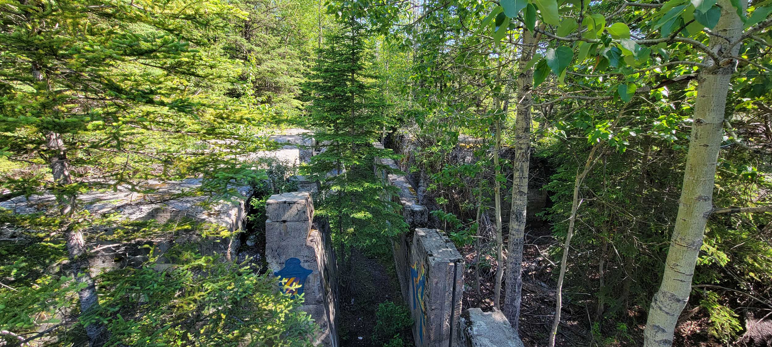 The tall, concrete foundations of the power house are slowly being swallowed by the impressive force of nature.