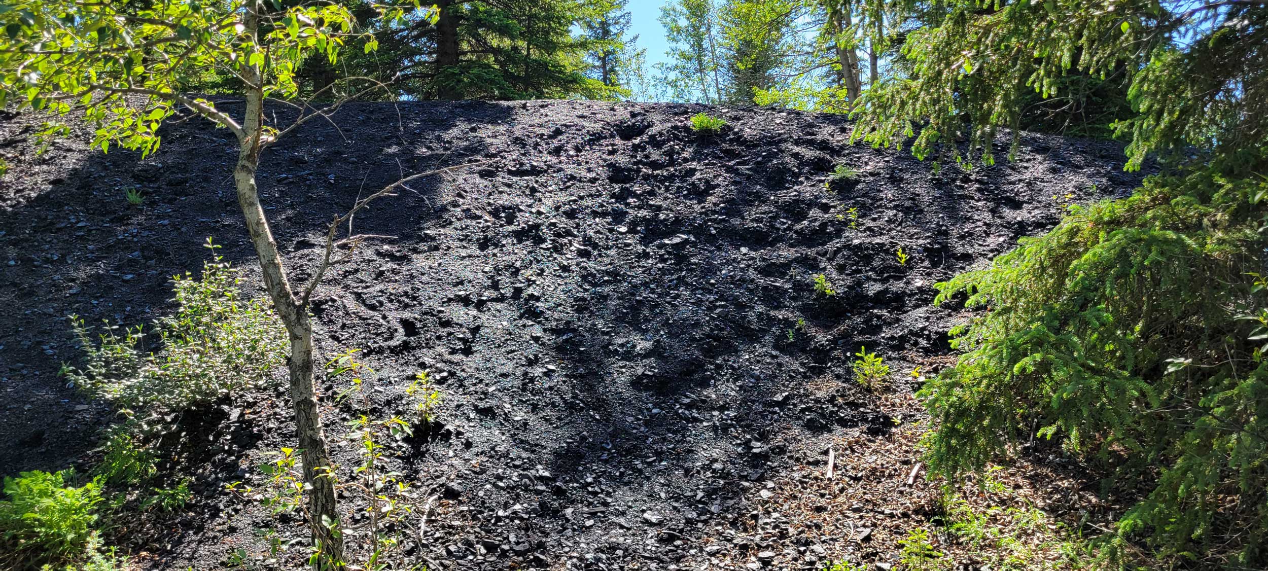 The black slack piles stand out against the lush green summer foliage.