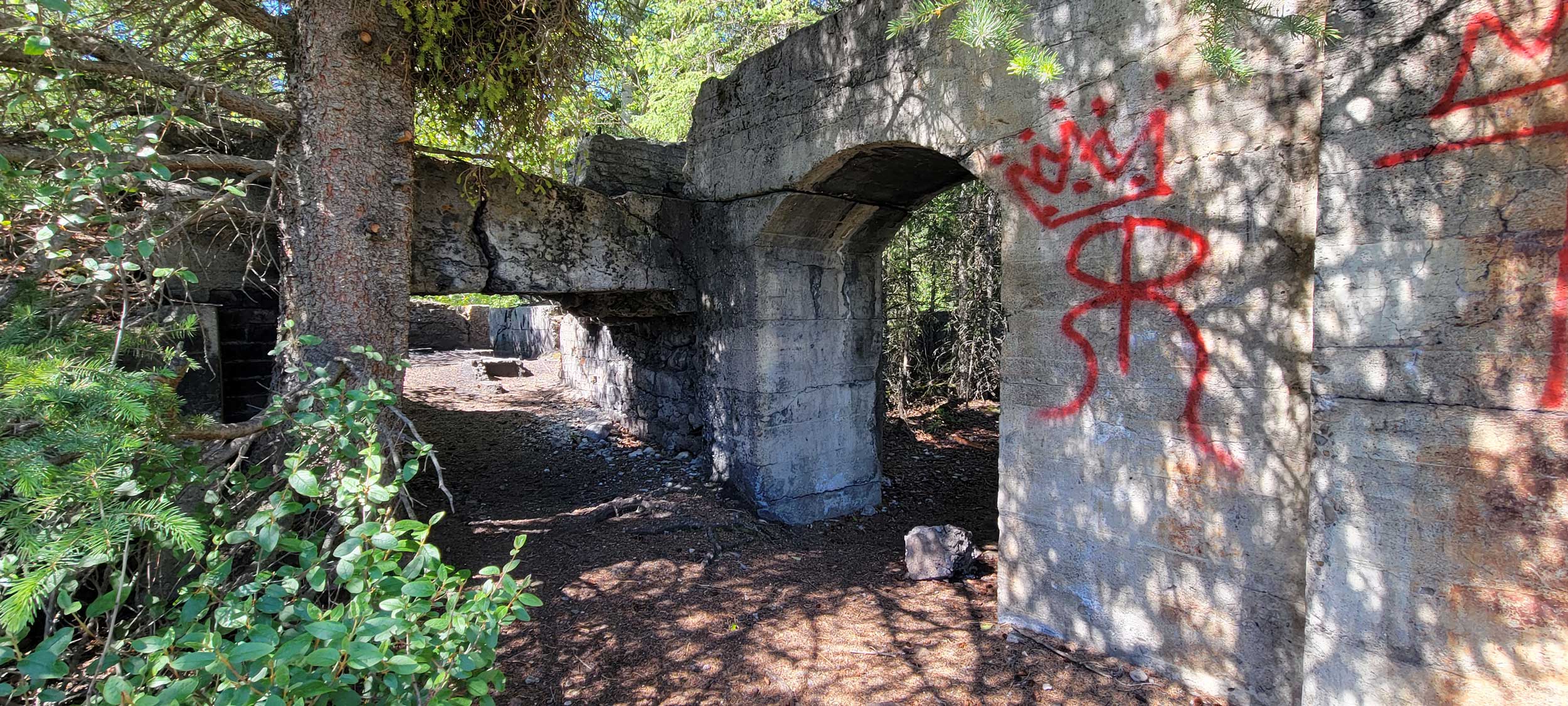 The remains of the briquette building have a magical quality as they are completely consumed by trees.