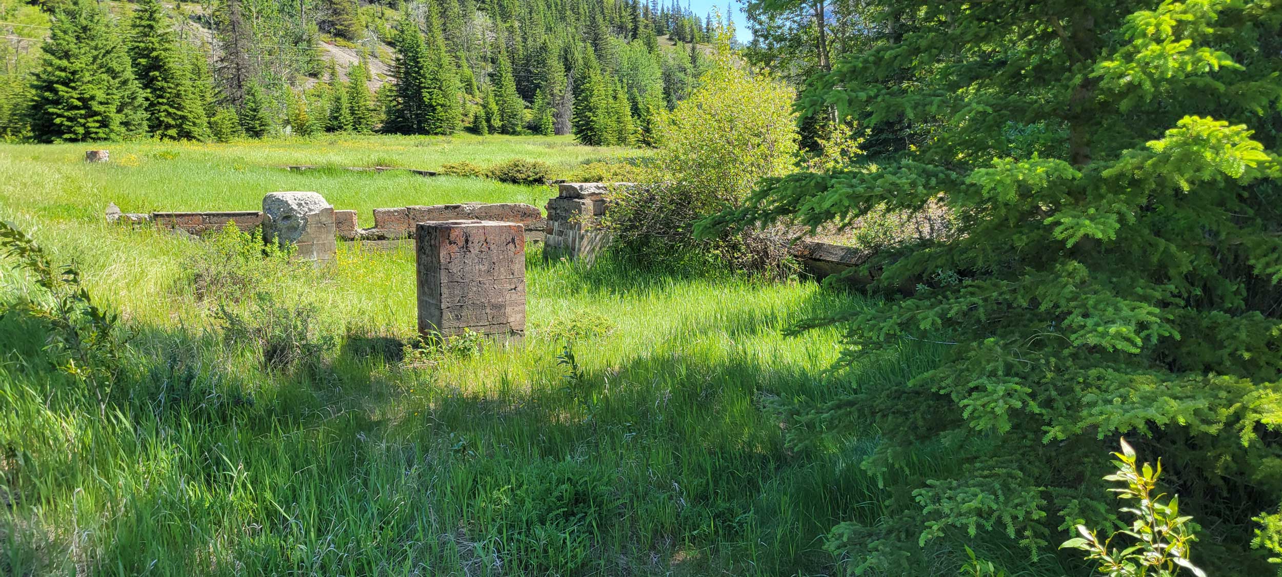 Foundations of buildings in lower Bankhead are overgrown by the lush summer grass.