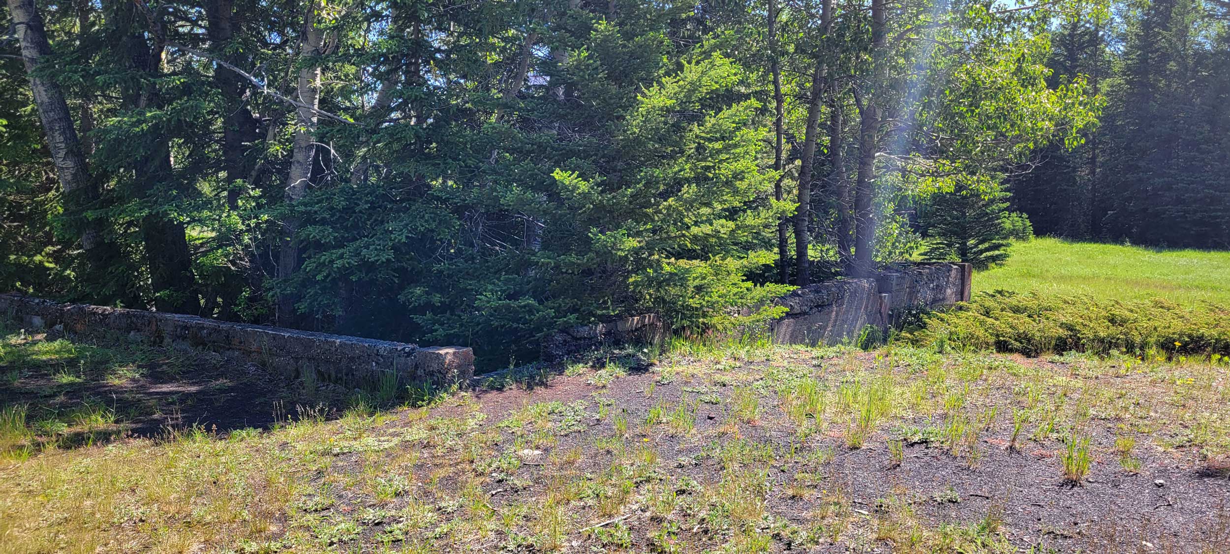 The buildings of lower Bankhead are slowly being reclaimed by Mother Nature.