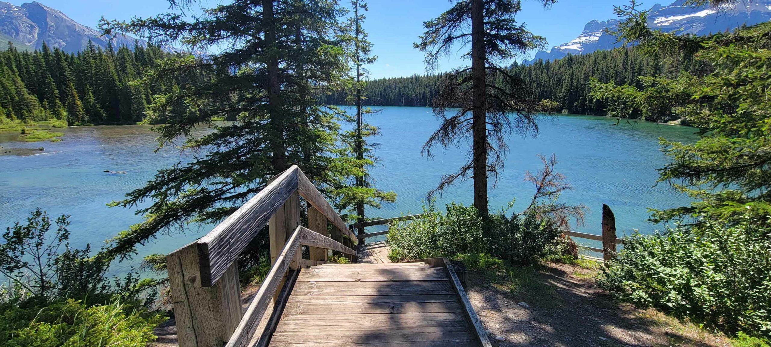 The wooden steps at the beginning of the Johnson Lake Trail.
