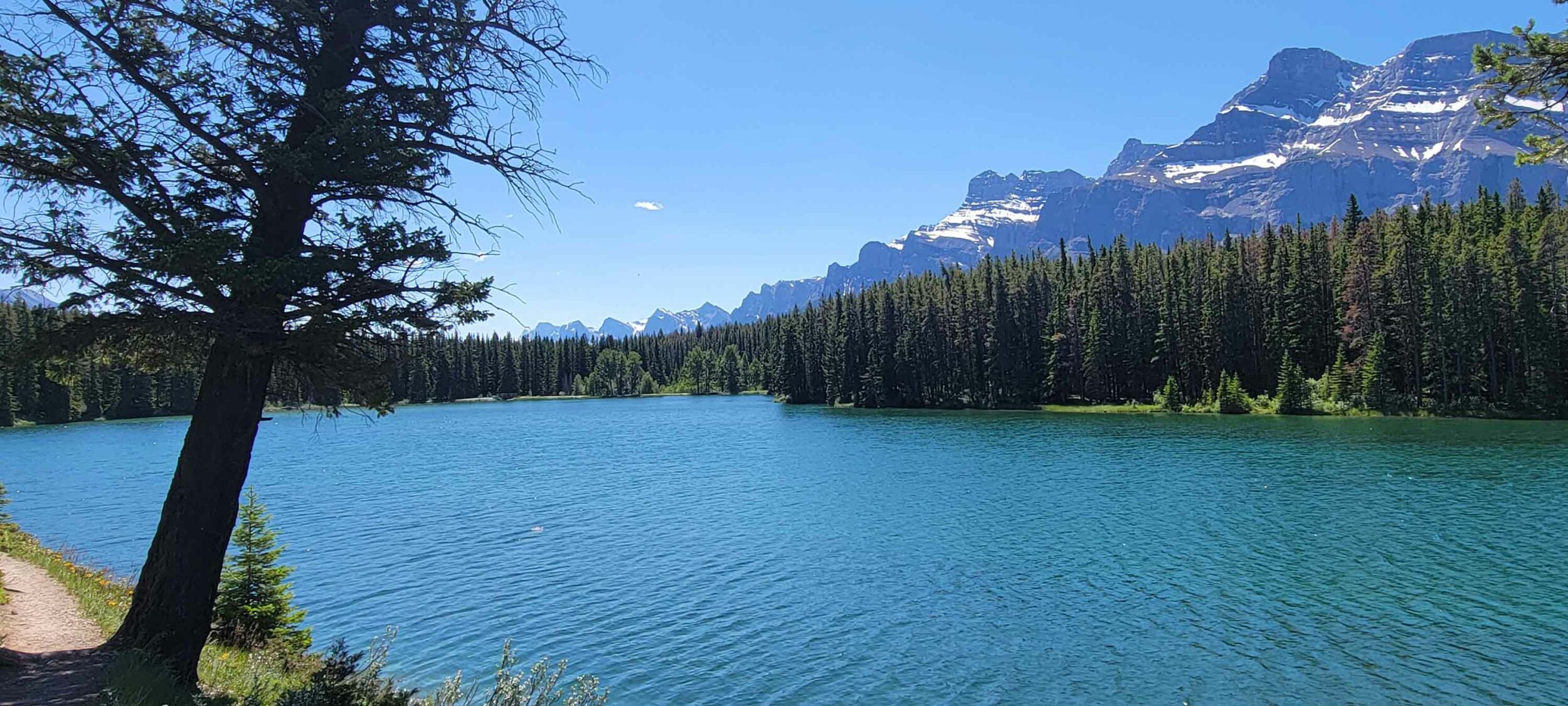 Hidden Moments along the Johnson Lake Trail on WhereRockies.com Hidden Moments along the Johnson Lake Trail Main Photo