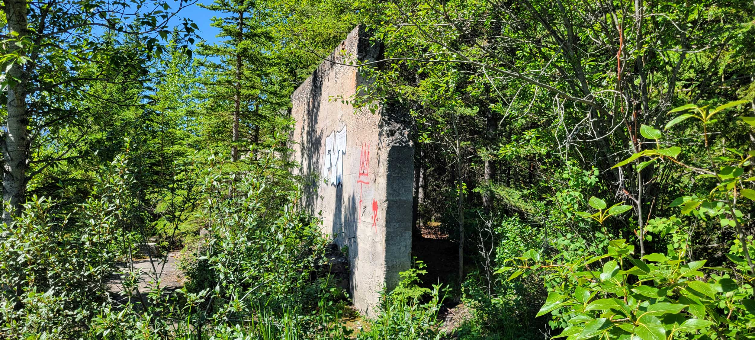 The tall wall of the boiler house emerges from the trees.