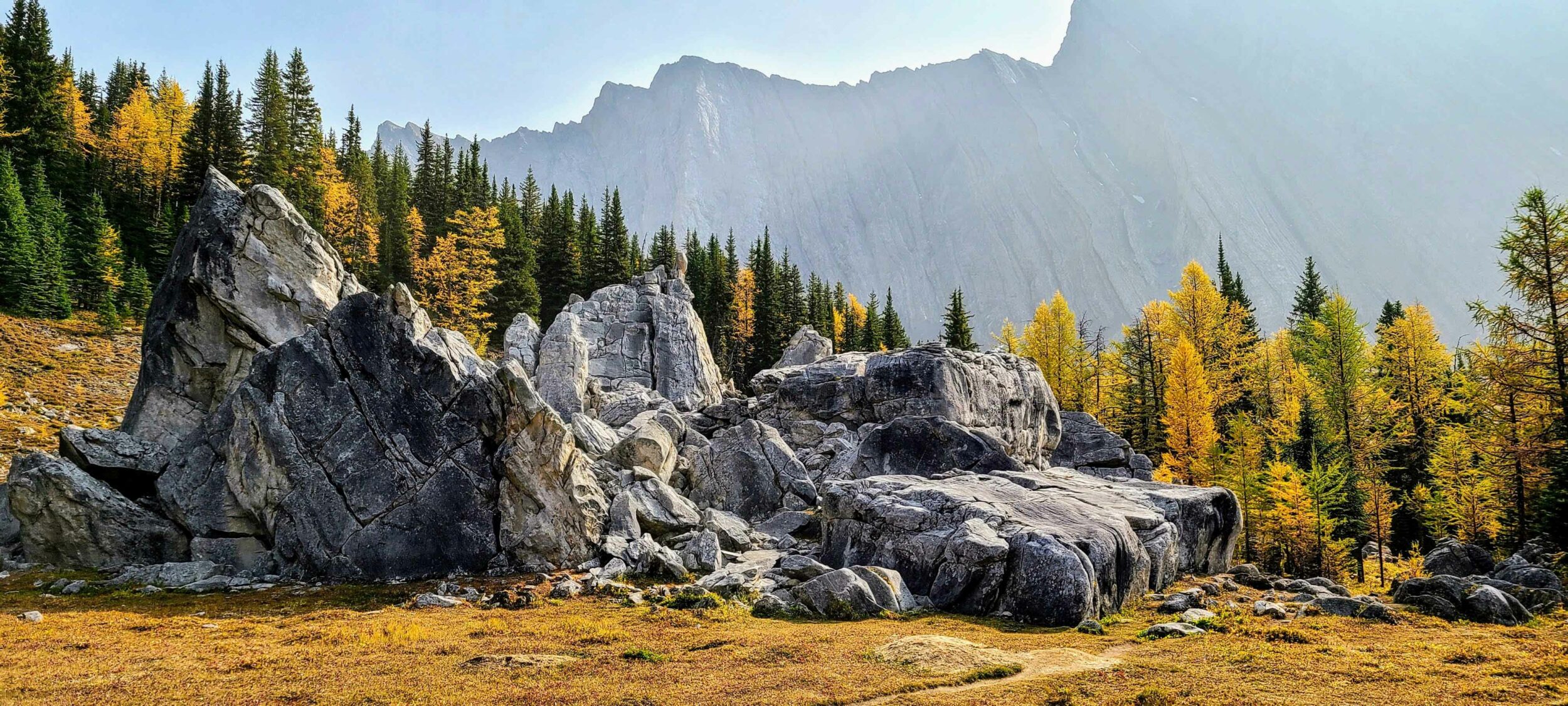 6 Great Larch Hikes in the Canadian Rockies on WhereRockies.com 6 Great Larch Hikes in the Canadian Rockies Main Photo