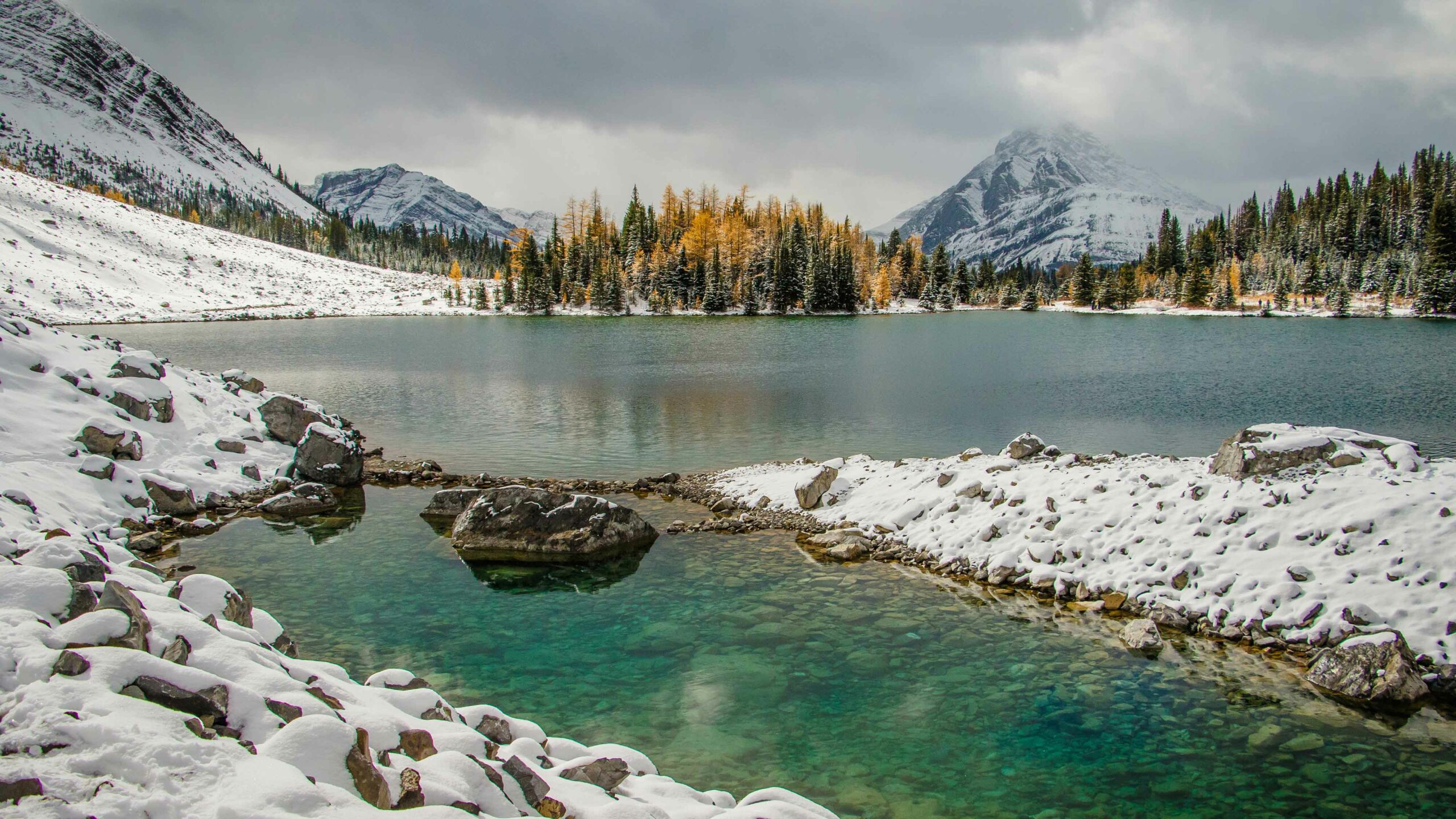 Larch hikes Kananaskis: Chester lake with golden larches and snow in the early fall.