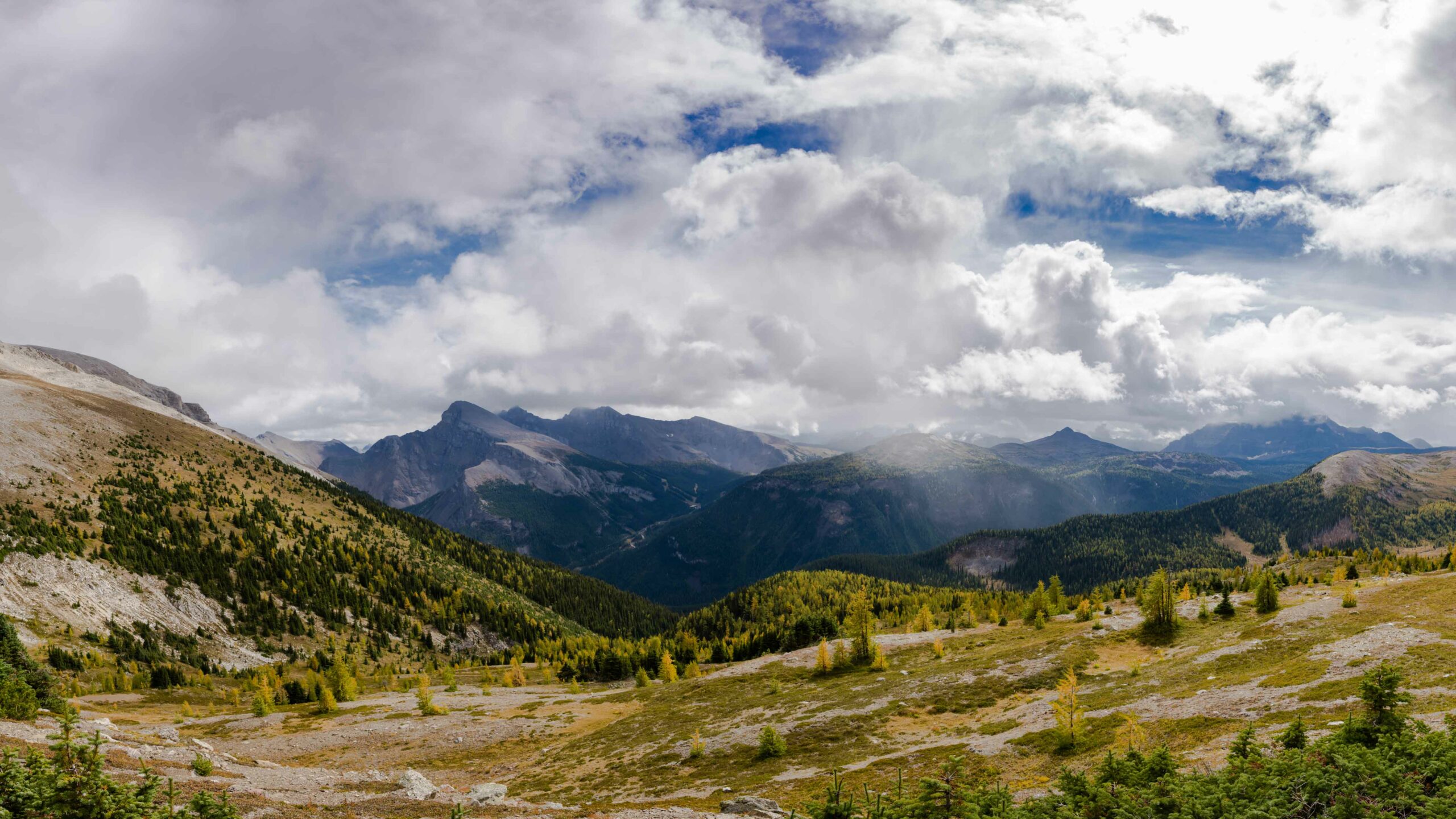 Larch Hikes Banff: Harvey Pass