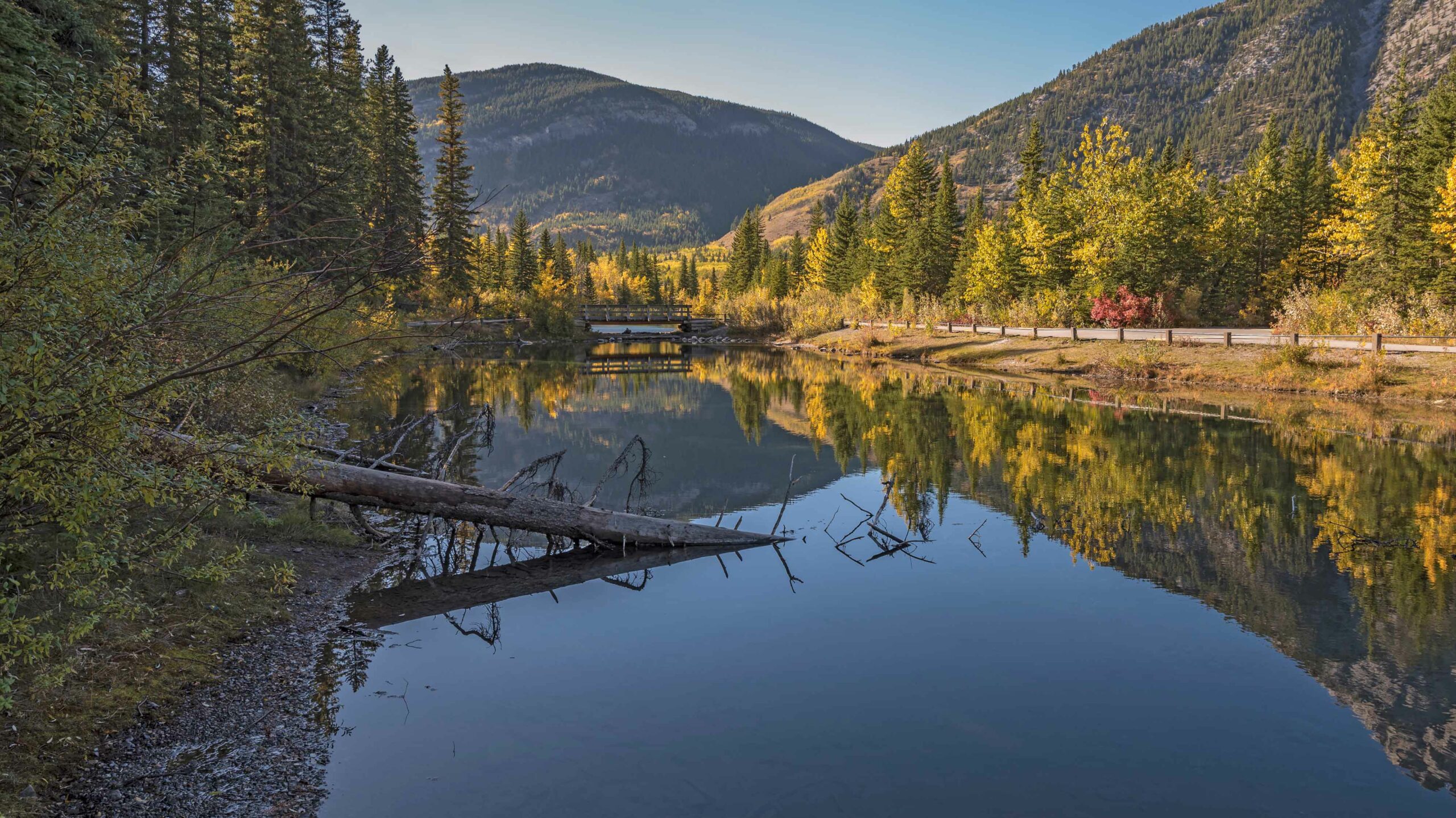 Larch Hikes Kananaskis: Stroll along Mount Lorette Ponds for an easy, accessible way to see larches. 
