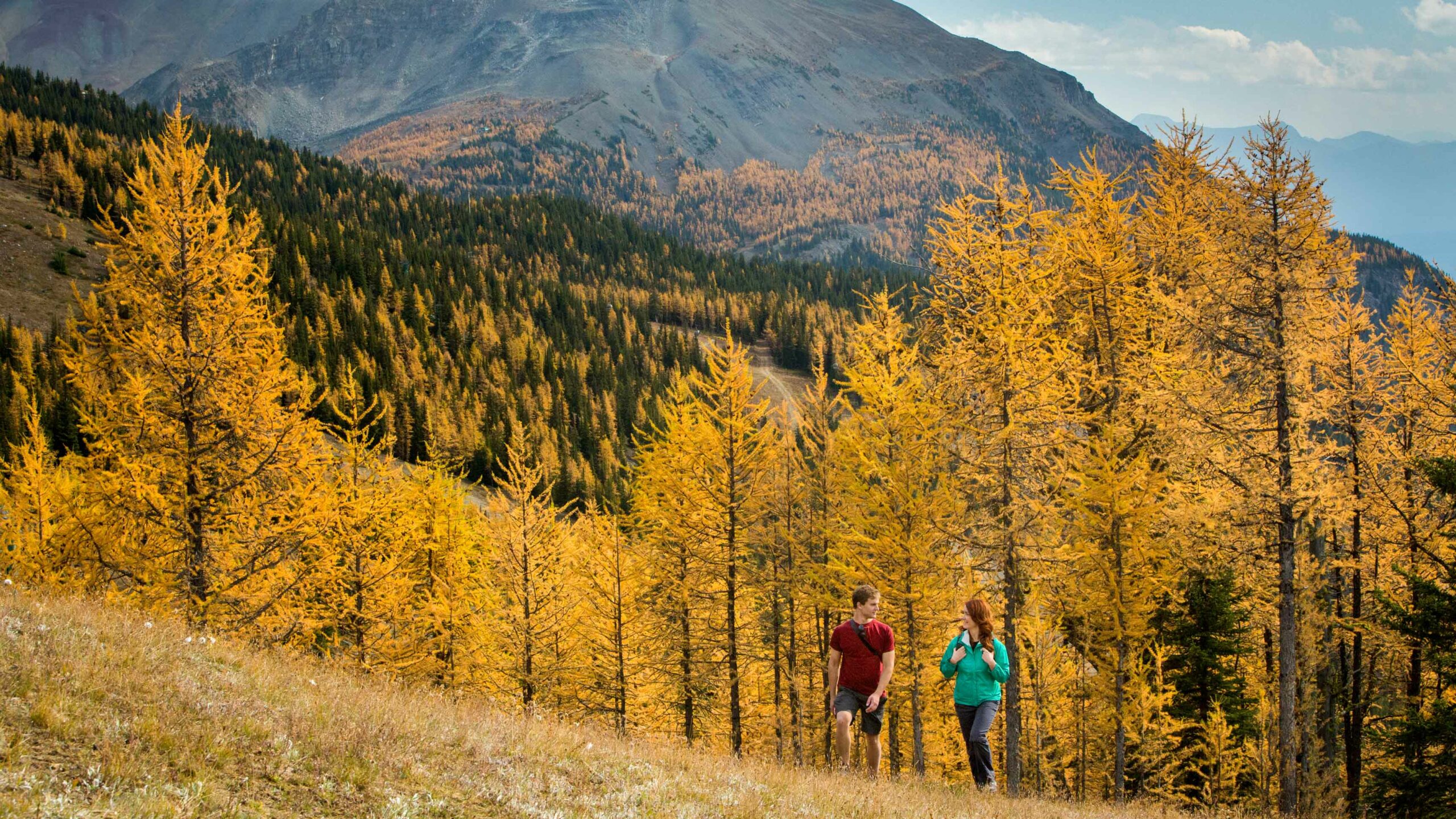Larch Hikes in Banff: Hikers in Larch Valley heading to Sentinel Pass. Photo by Travel Alberta | Paul Zizka