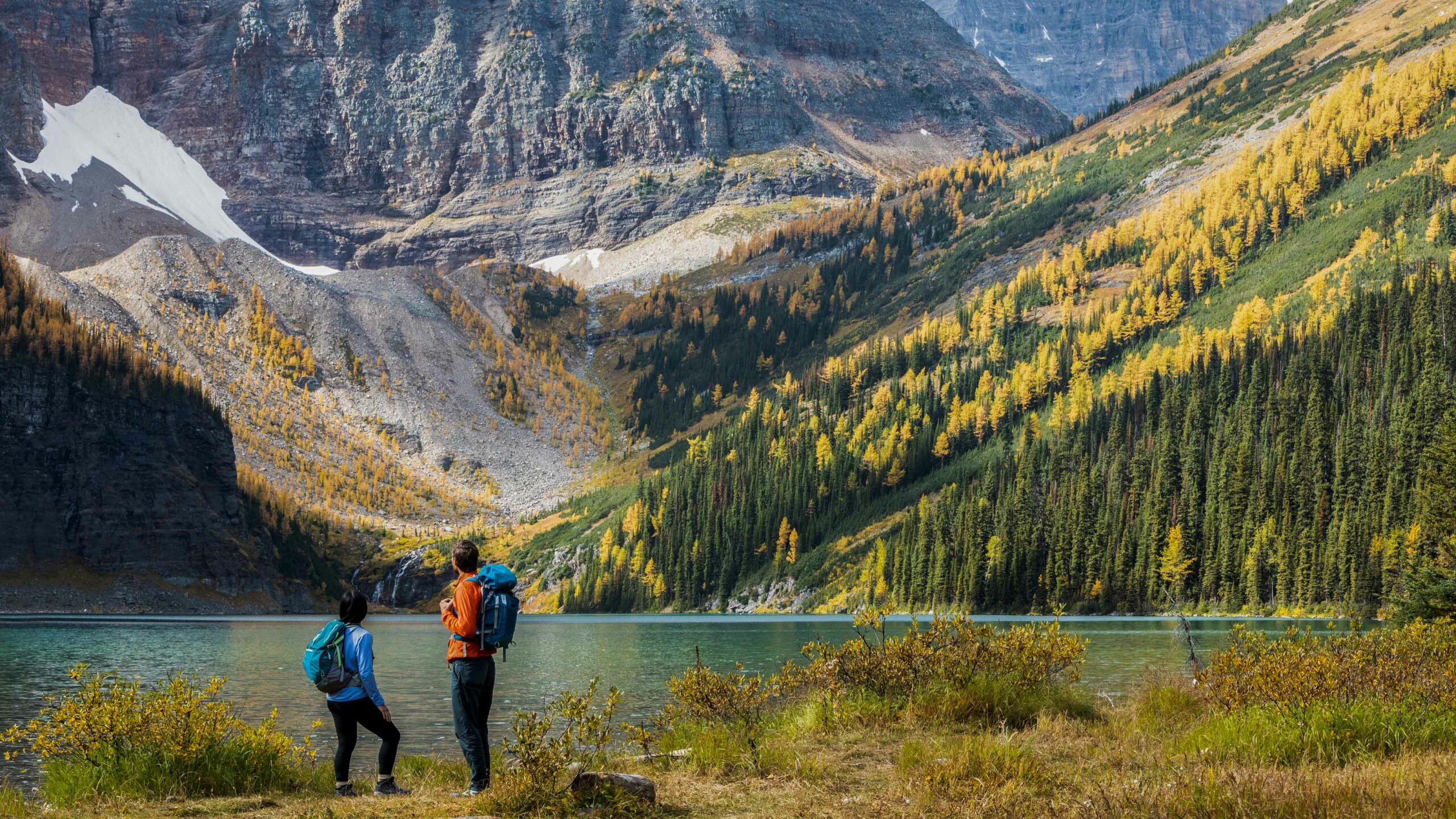 Banff Larch Hikes: Two hikers look over Taylor Lake with larches in the background. Photo by Travel Alberta | Paul Zizka.
