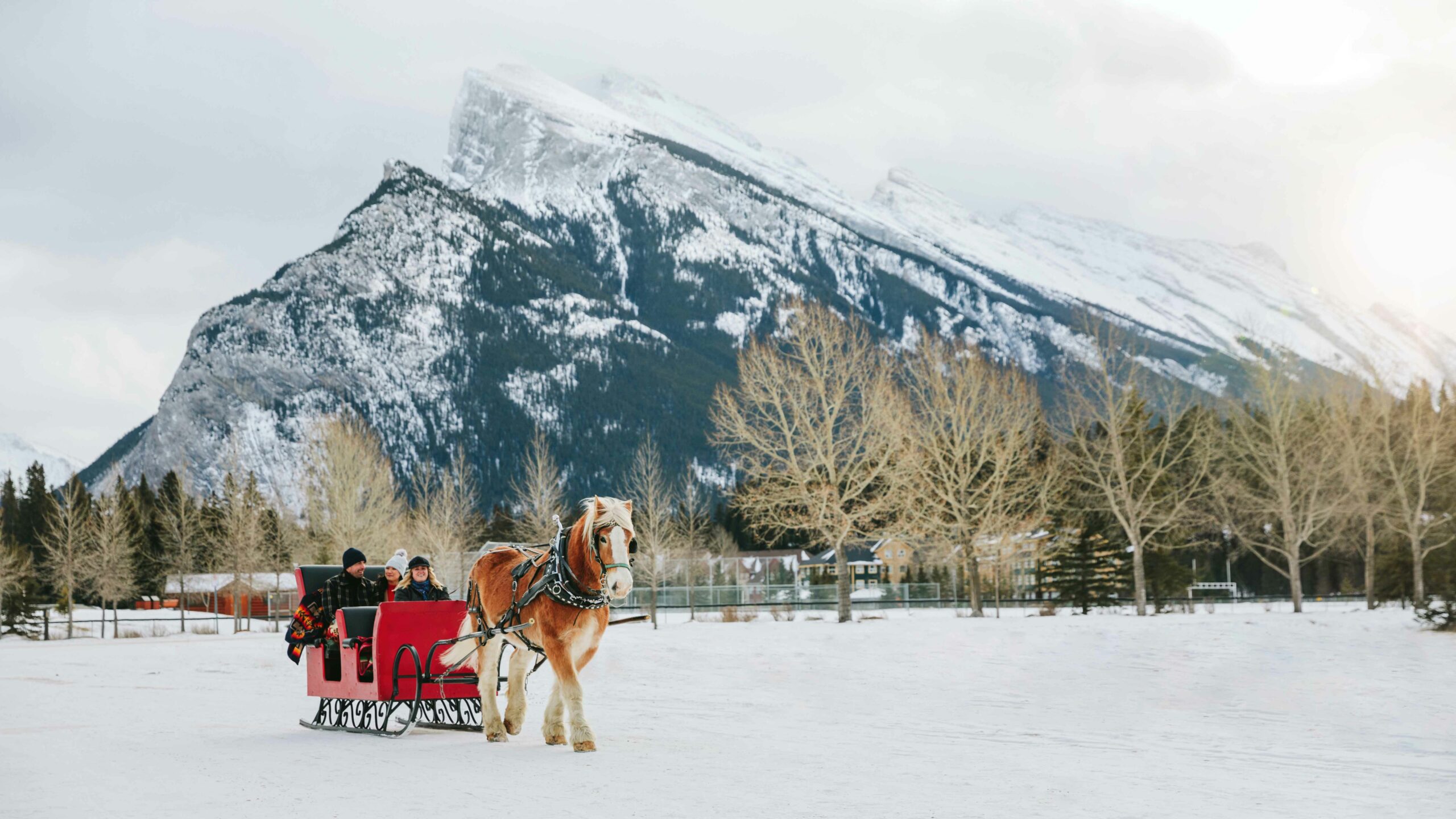 A horse drawn sleigh from Banff Trail Riders in front of Mount Rundle. This is one of our favourite winter activities.
