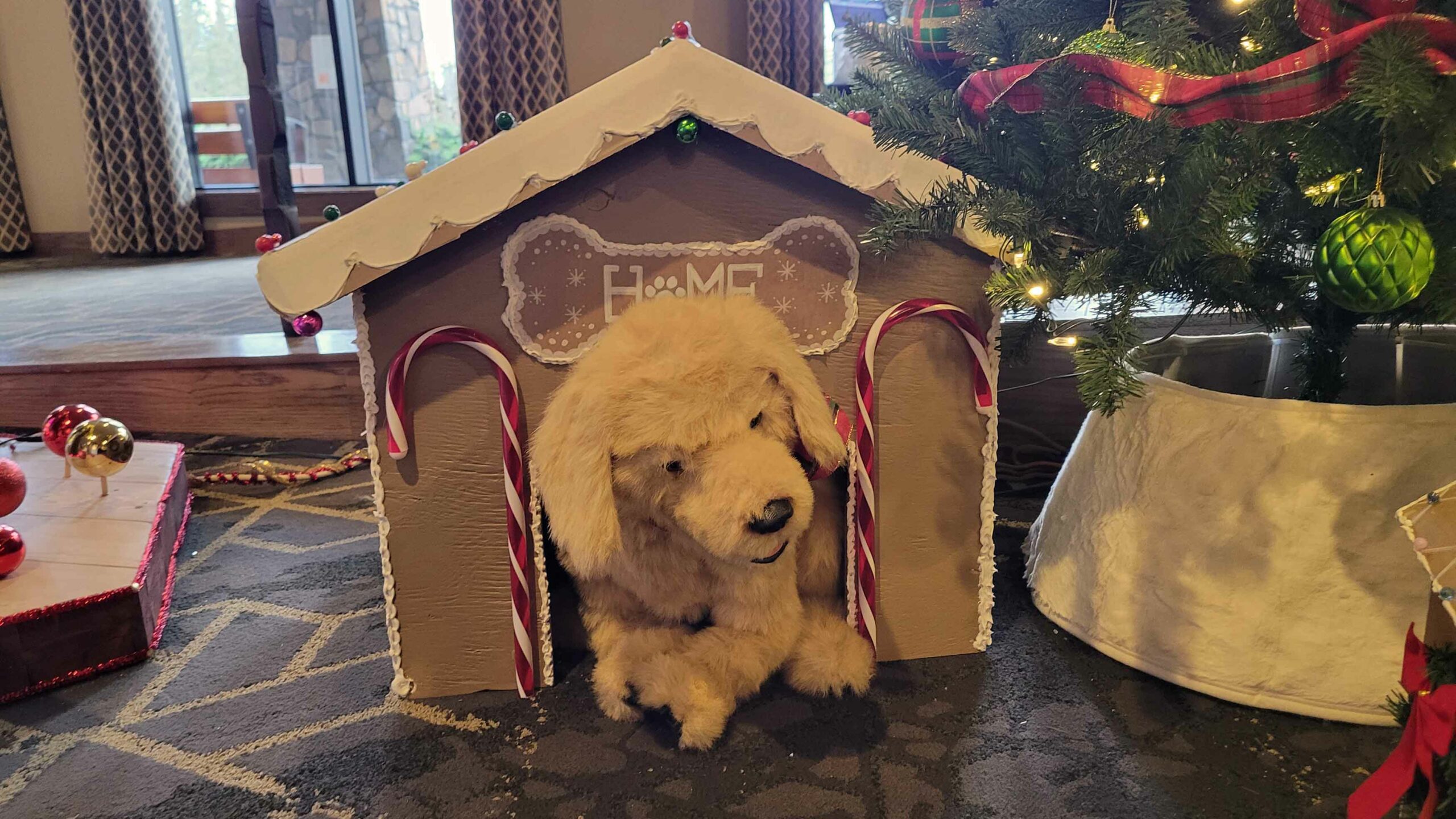 The Bow Valley SPCA is bringing pets home for the holidays at the Festival of Trees. Their award-winning tree features fun, fuzzy animals and a heartwarming message!