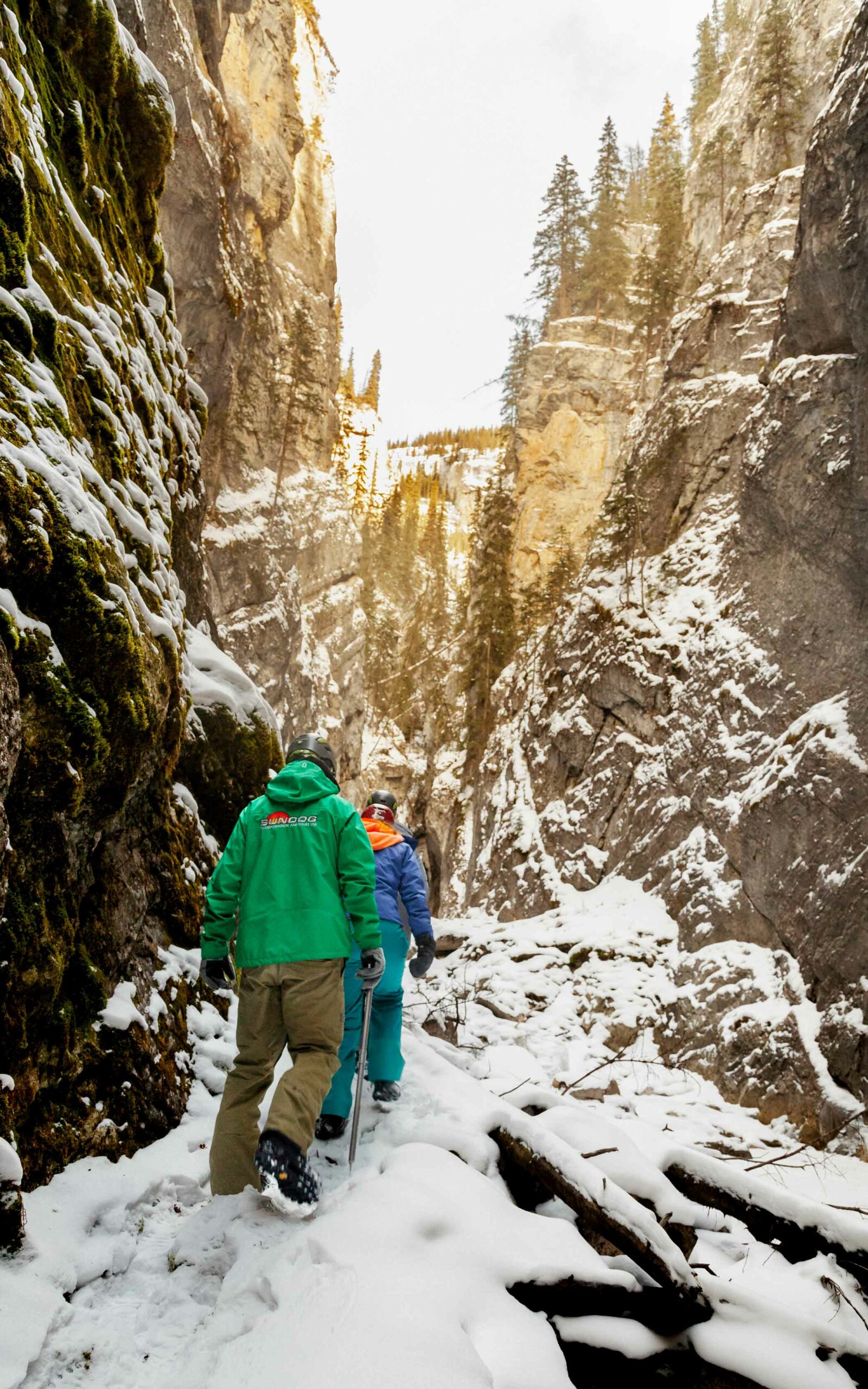 Guests explore Pleckaitis Canyon in Jasper with SunDog Tours this winter.