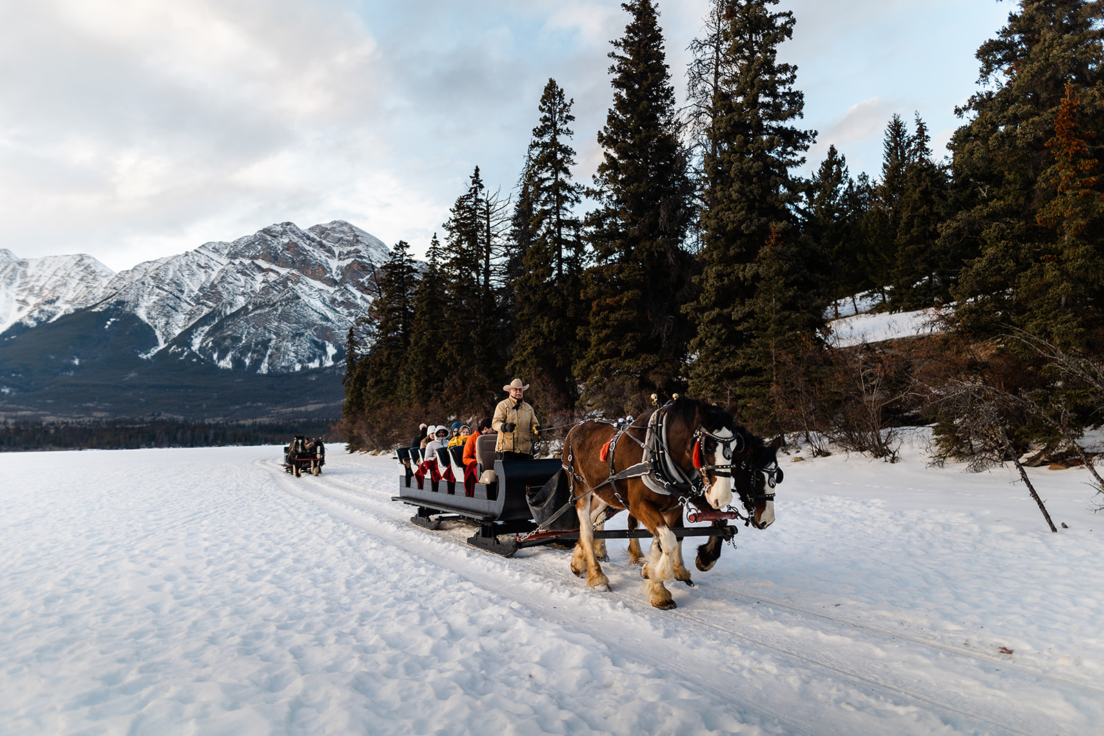 Two Clydesdale horses pull a sleigh at Pyramid Lake as a part of the Jasper in January celebrations.