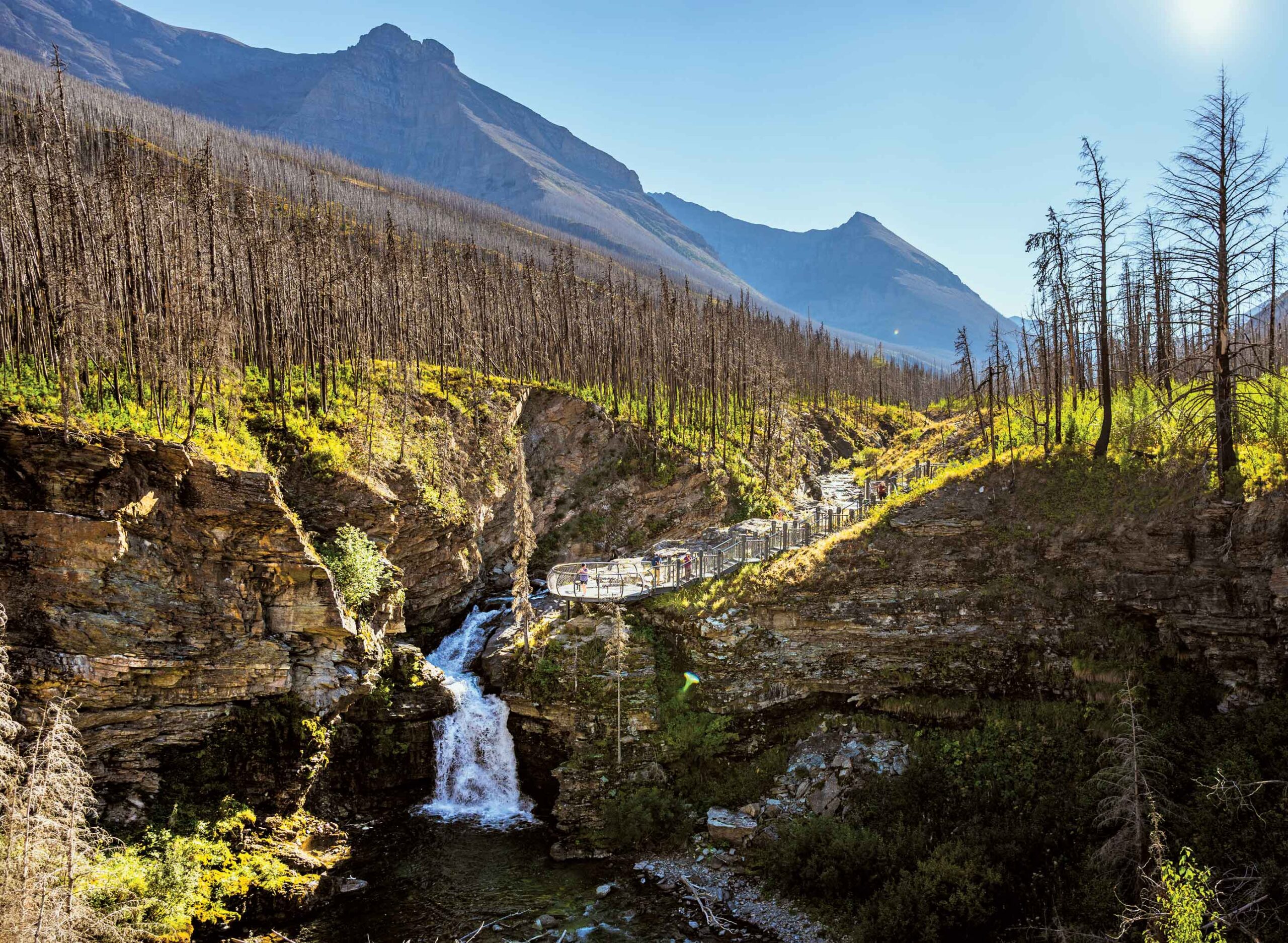 A burned out area features blacked trees and fresh greenery with mountain views after the Kenow Wildfire