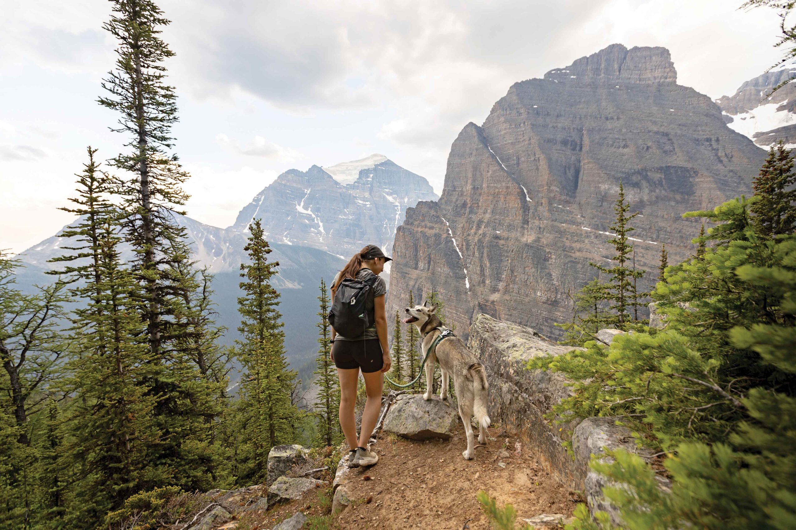 Keeping dogs on leash is proper trail etiquette. I's also for safety: off leash dogs are one of the leading causes of wildlife attacks in the mountains. Photo by Travel Alberta / Katie Goldie