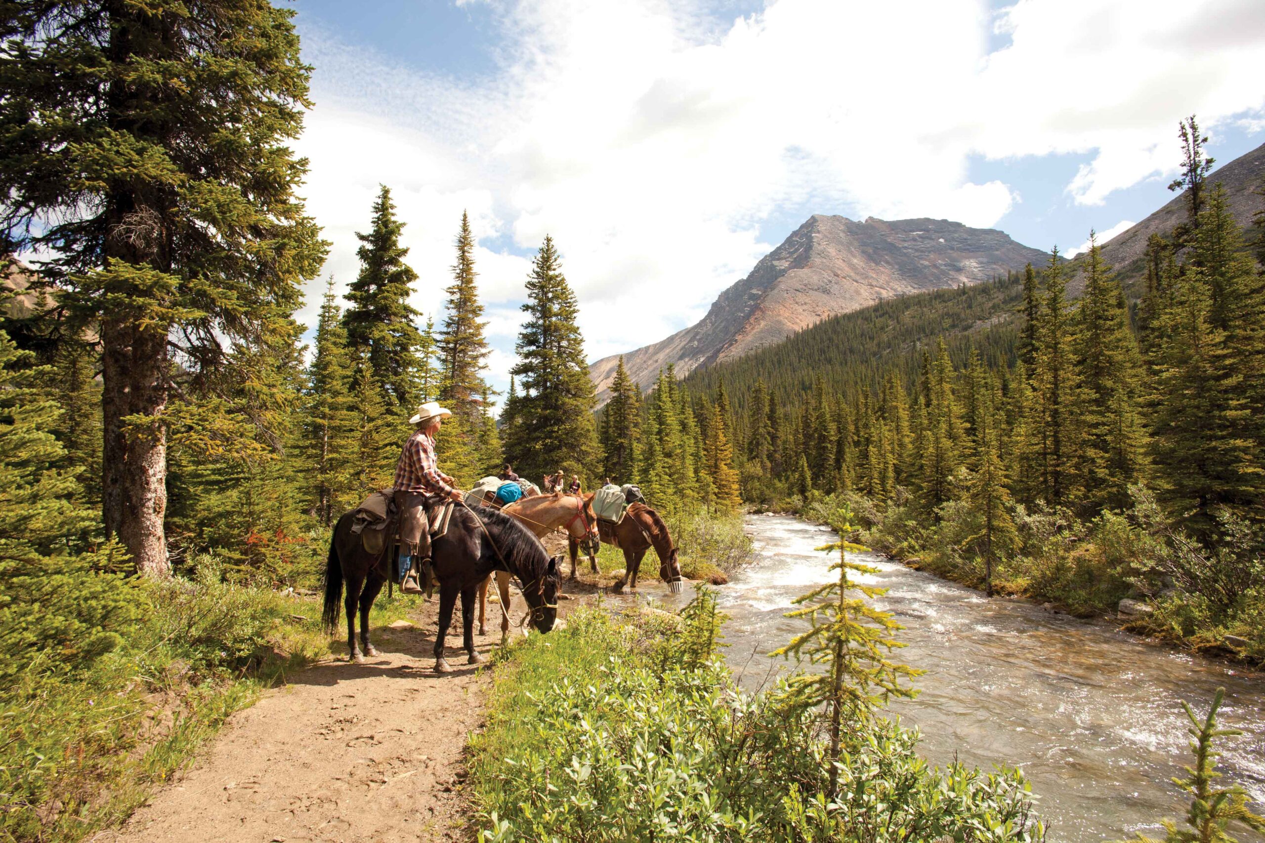 A group of equestrians water their horses next to a trail. Proper trail etiquette would be to talk to the riders to discover the best way to pass safely.