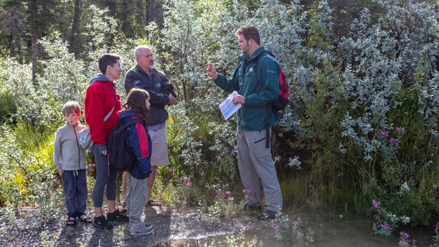Wildflower Walk - Read more on Where Rockies Online Wildflower Walk on Where Rockies