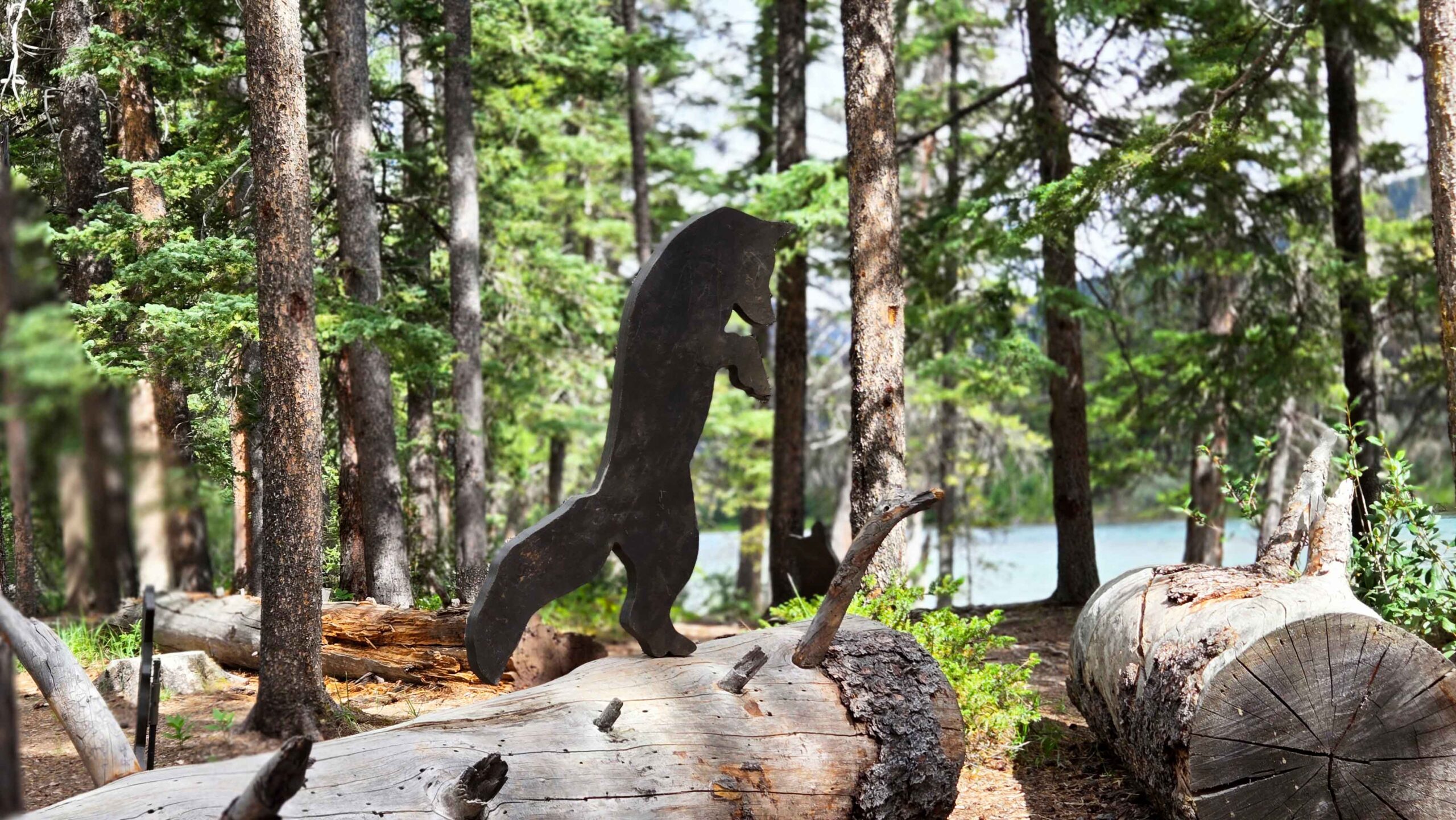 A metal shadow of a fox gets ready to pounce in this fun sculpture by Peig Abbott on the Art in Nature Trail in Banff