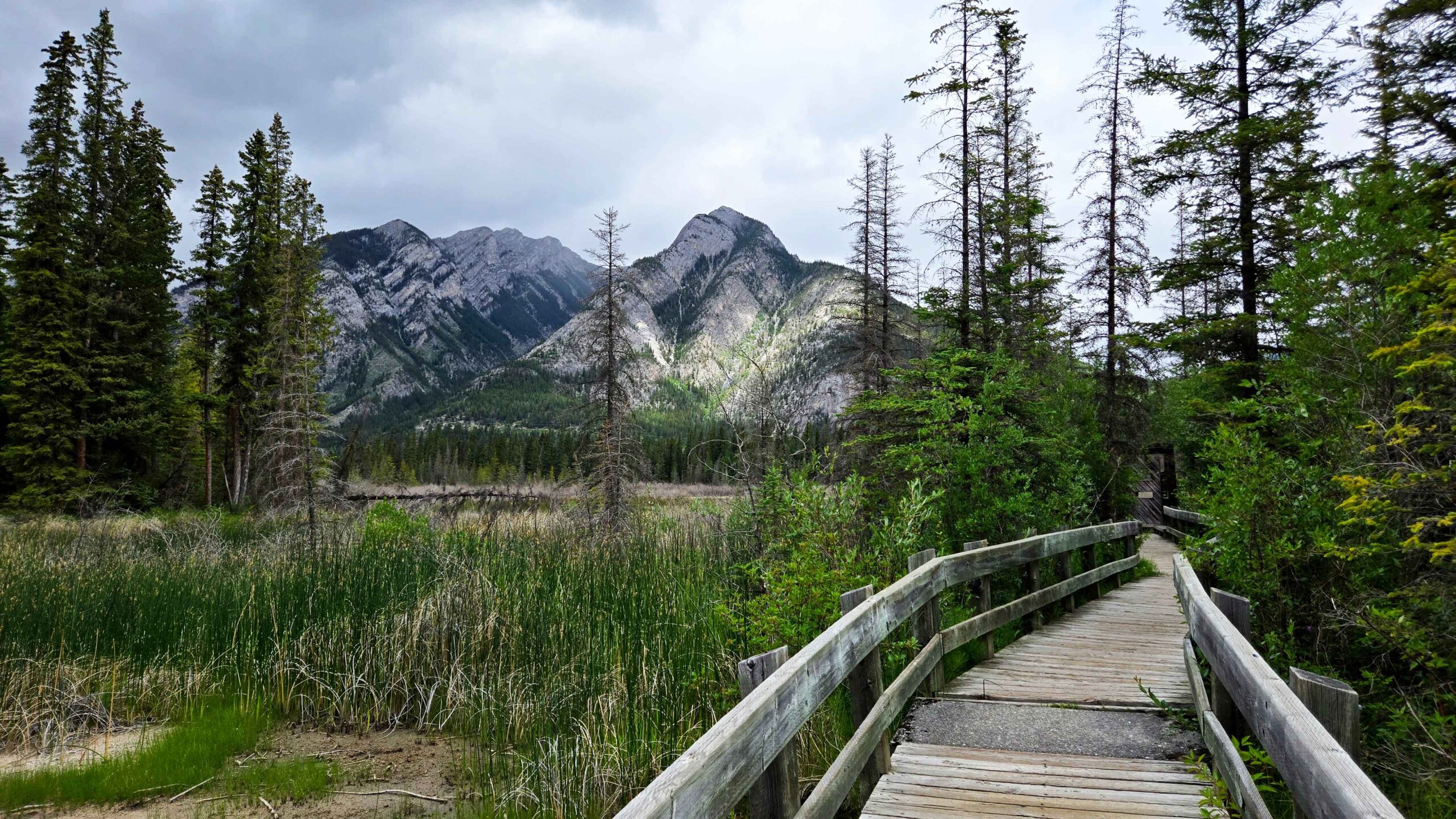 A mountain view over the natural hot spring waters along the Marsh Boardwalk from the Cave and Basin in Banff. This is a great free activity to connect with nature.