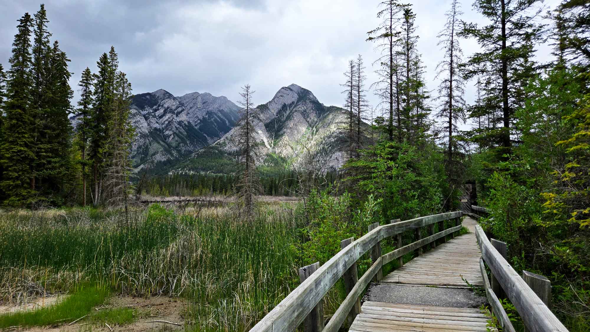 A mountain view from the Marsh Boardwalk