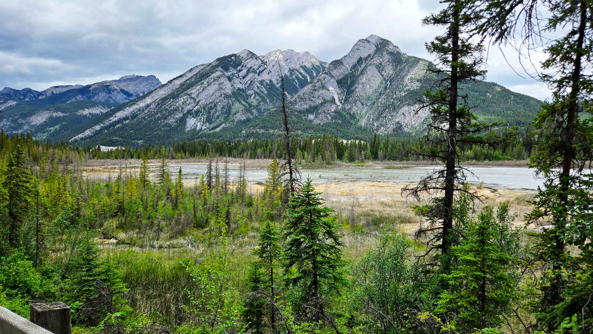A view of the lush marshlands and hot ponds with rugged Rocky Mountains in the background