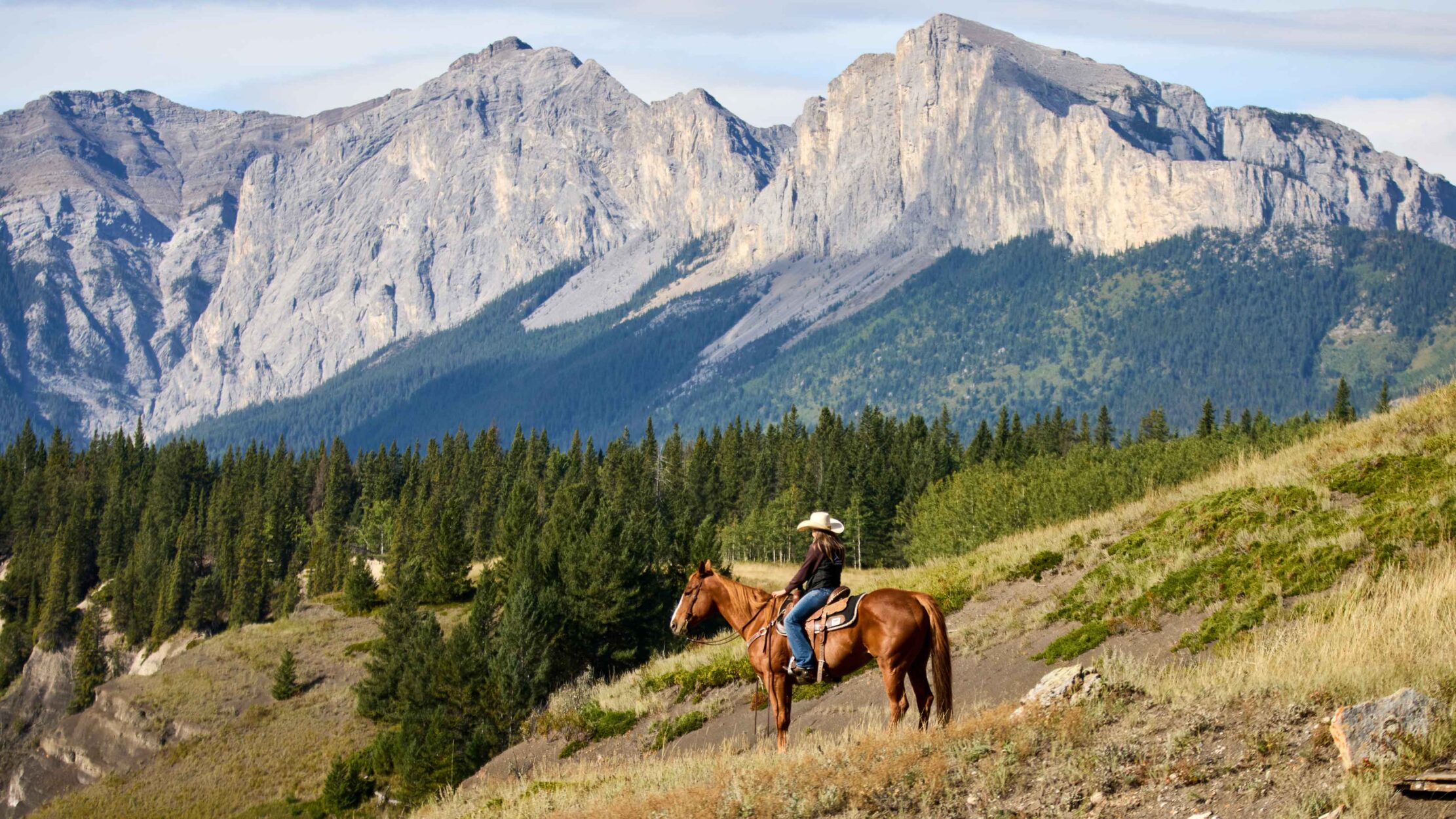 Horsin’ Around in the Rockies on WhereRockies.com Horsin’ Around in the Rockies Main Photo