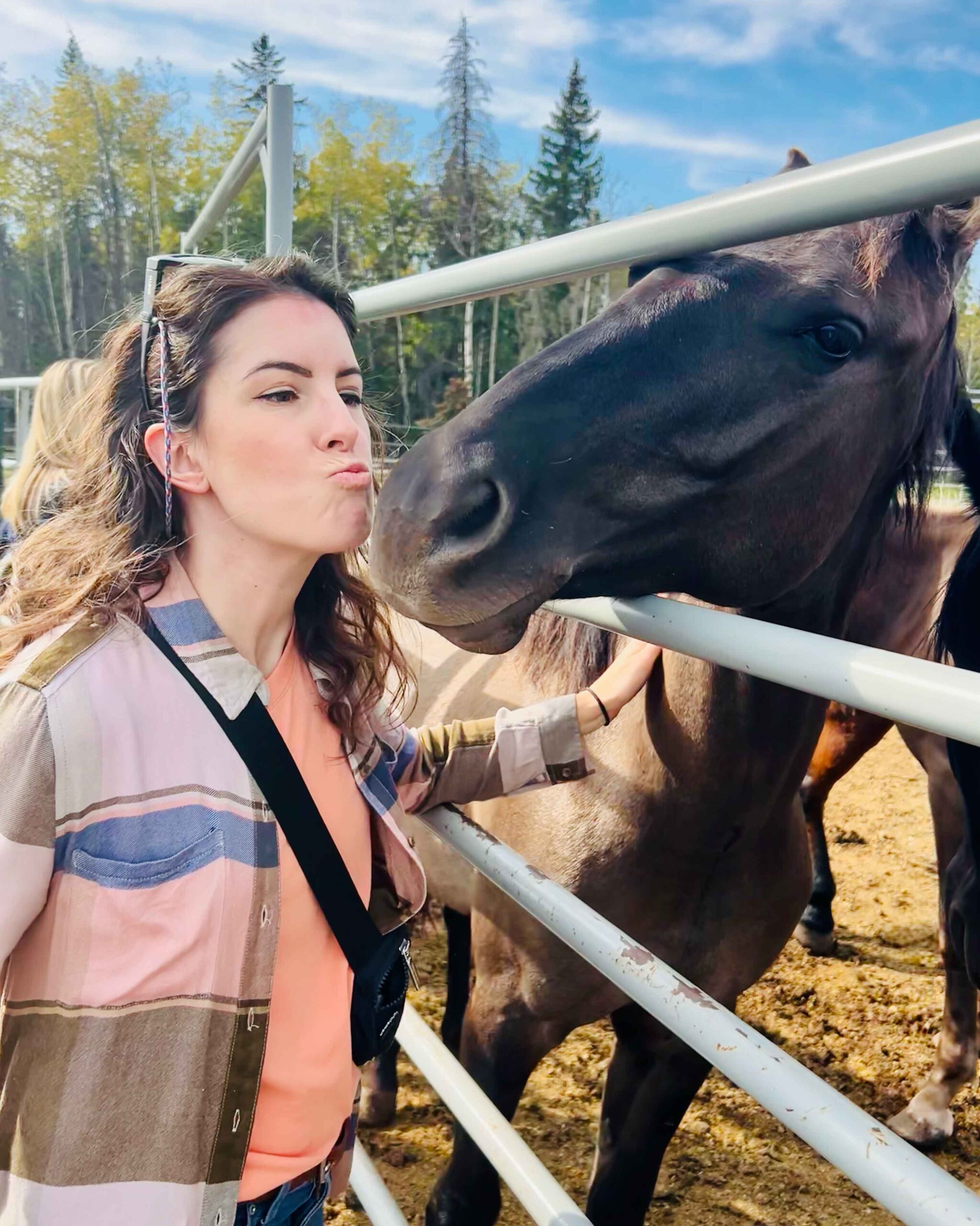 The horses were full of personality at Rafter 6