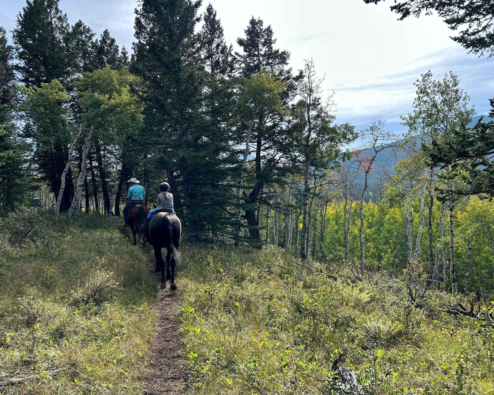 The trails covered varied terrain at Rafter 6