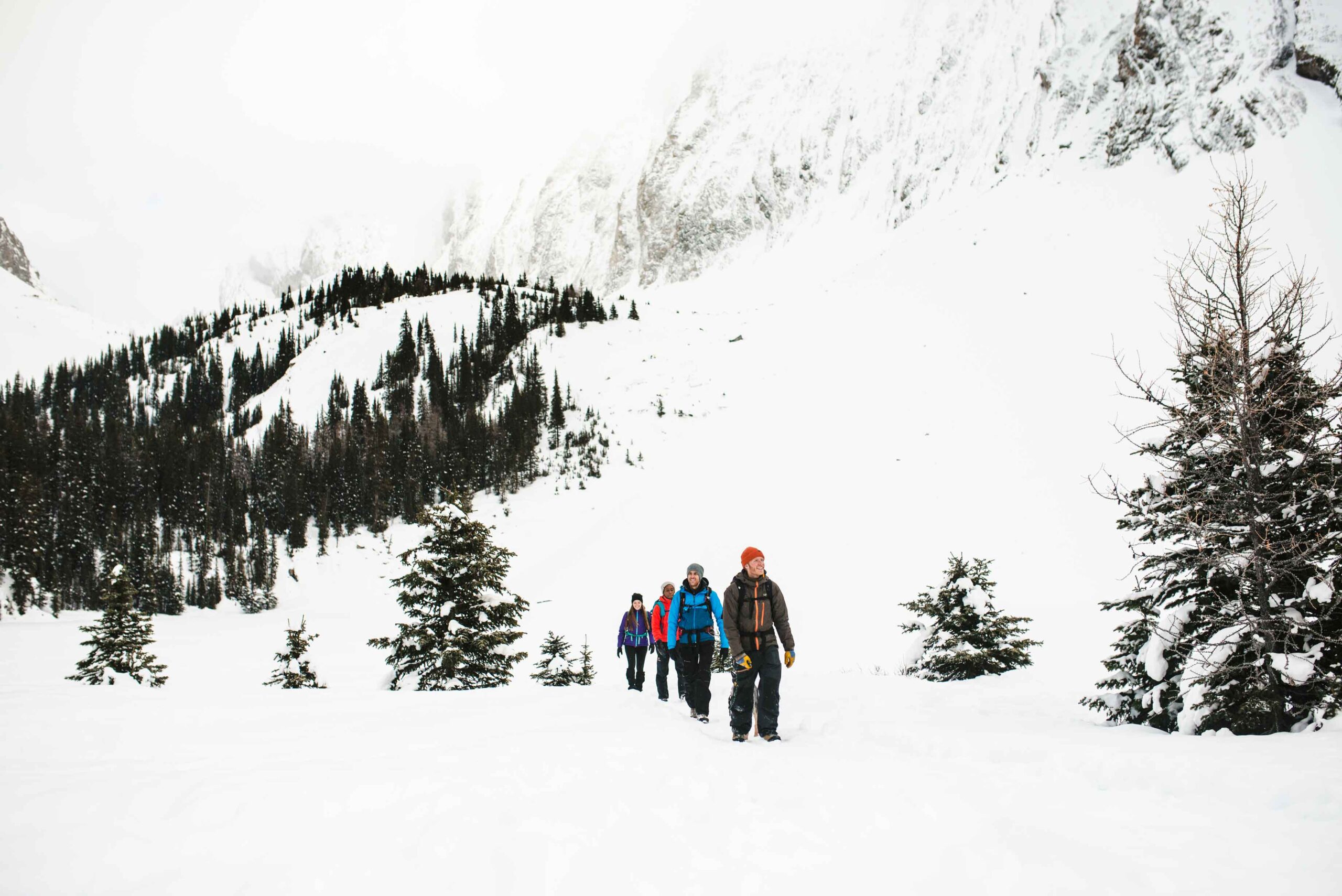 Snowshoeing is a great way to get outside and experience Kananaskis Country in the winter.