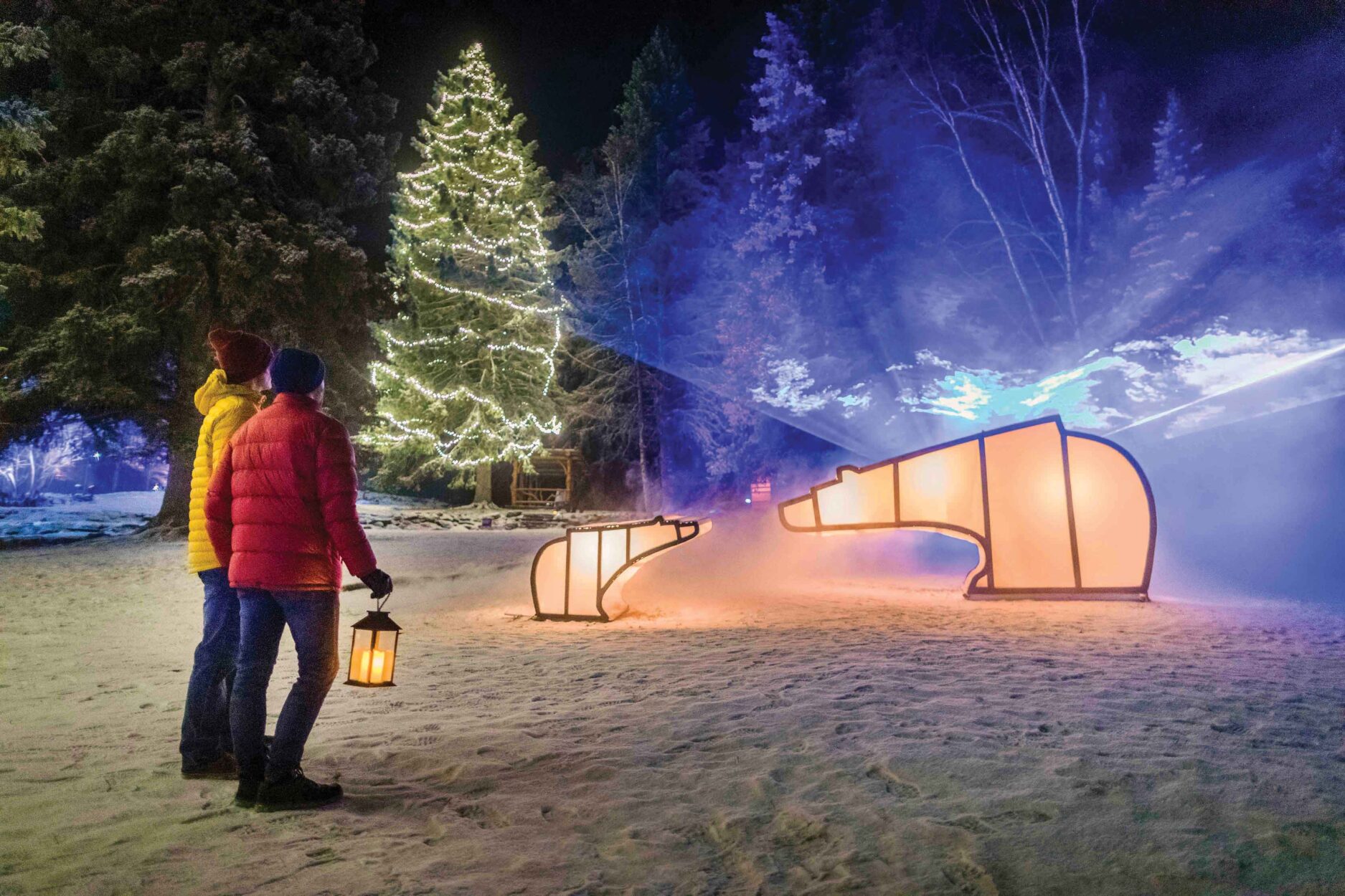 Winter Arts - Read more on Where Rockies Online Winter Arts on Where Rockies