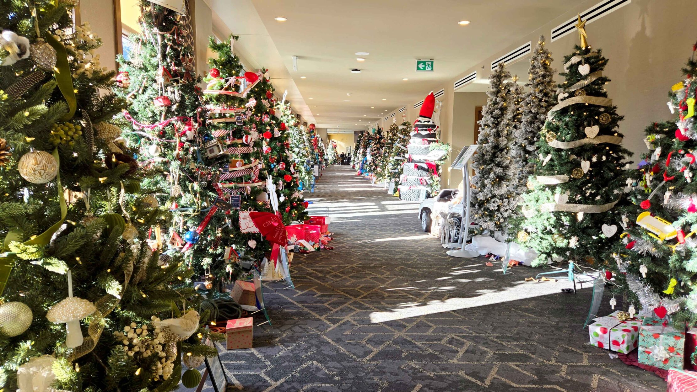 Festival of Trees 2025 on WhereRockies.com Festival of Trees 2025 Main Photo