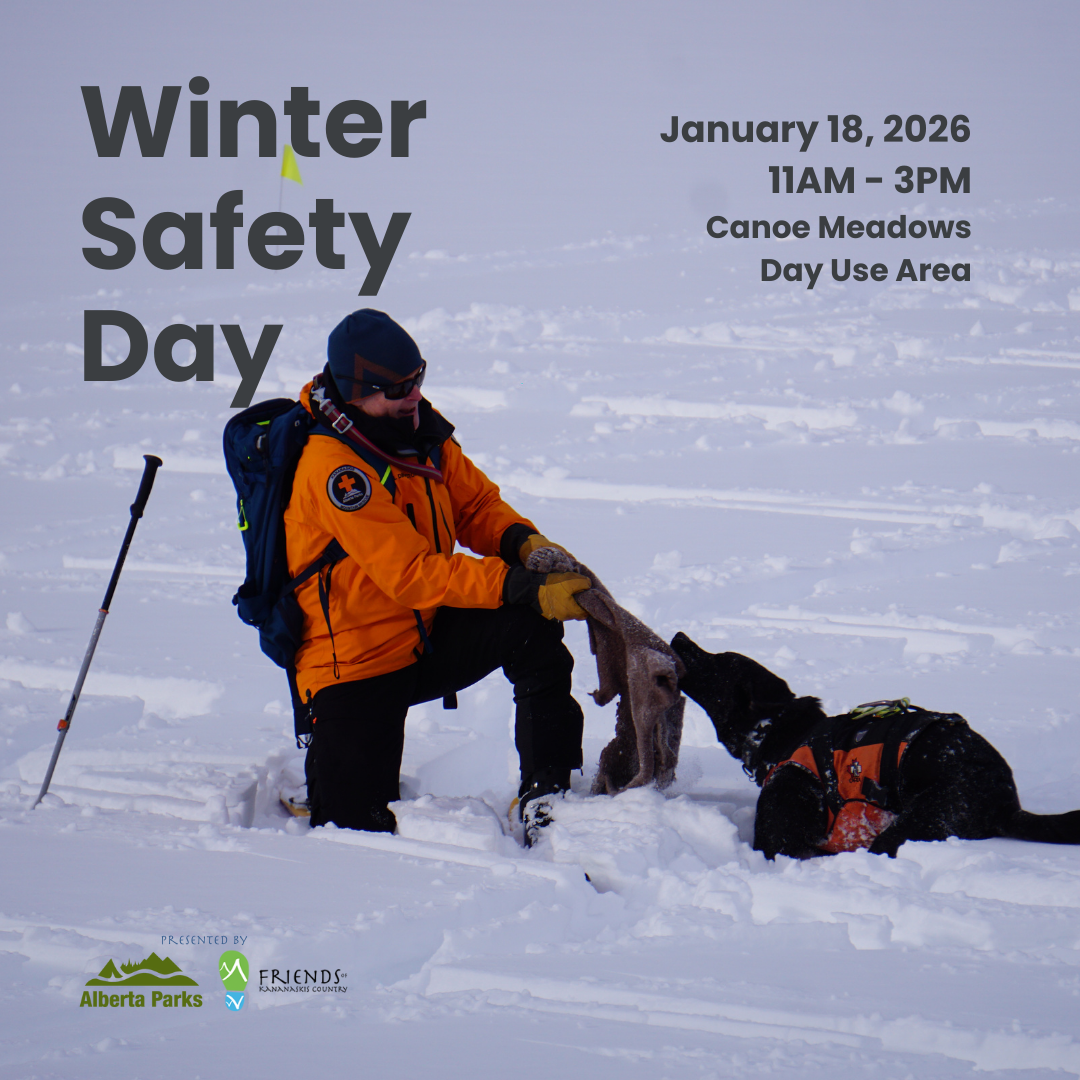 Winter Safety Day - Read more on Where Rockies Online Winter Safety Day on Where Rockies