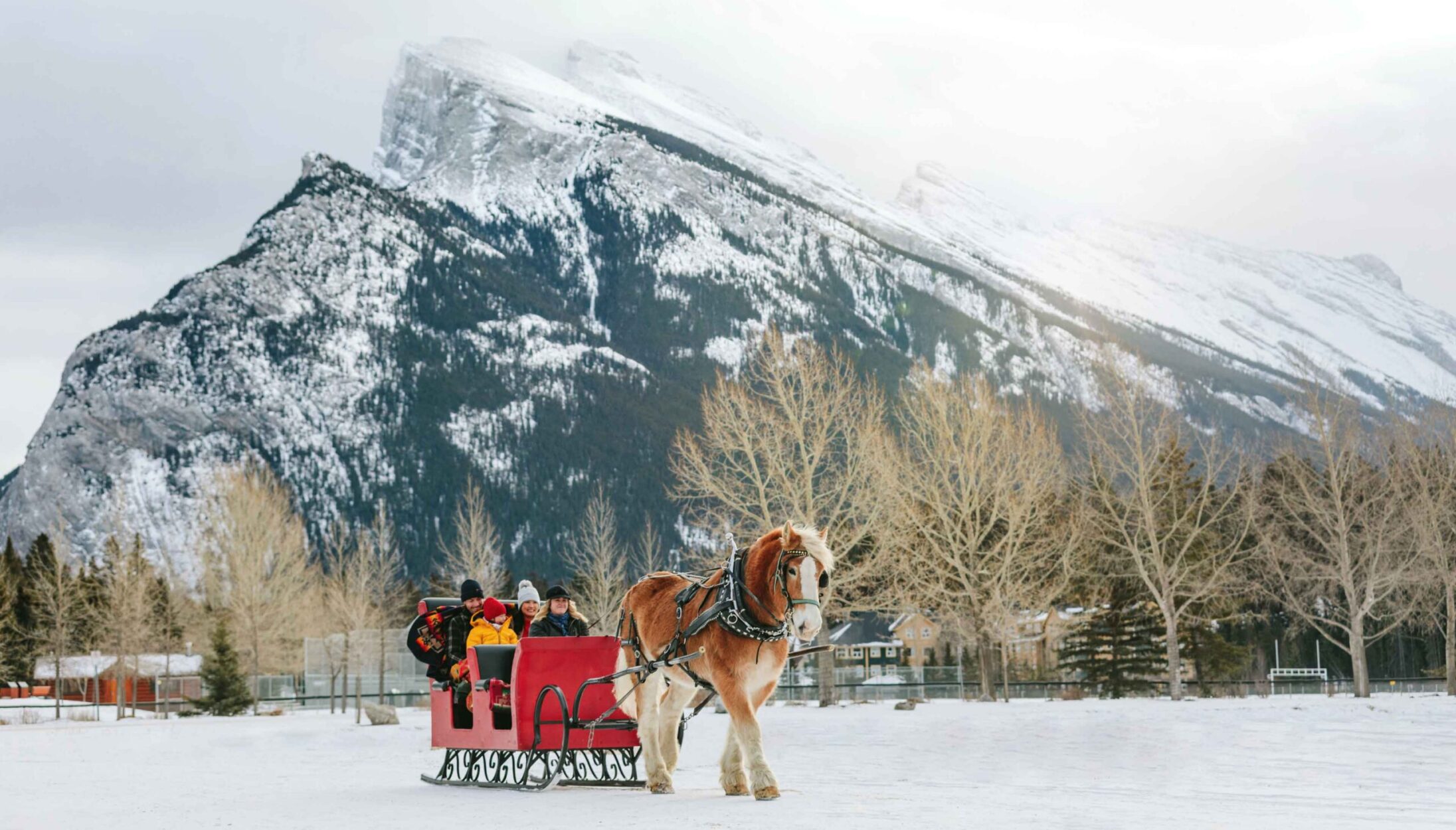 What to Do AFTER Skijoring in Banff on WhereRockies.com What to Do AFTER Skijoring in Banff Main Photo
