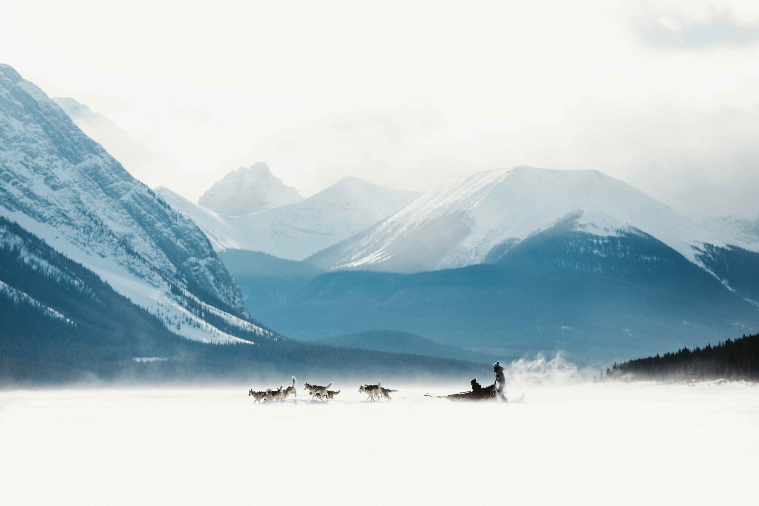 Dogsledding on Spray Lakes is a fantastic way to experience this iconic winter sight. 