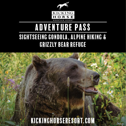 Capturing Moments with Jason Carter - Where Rockies