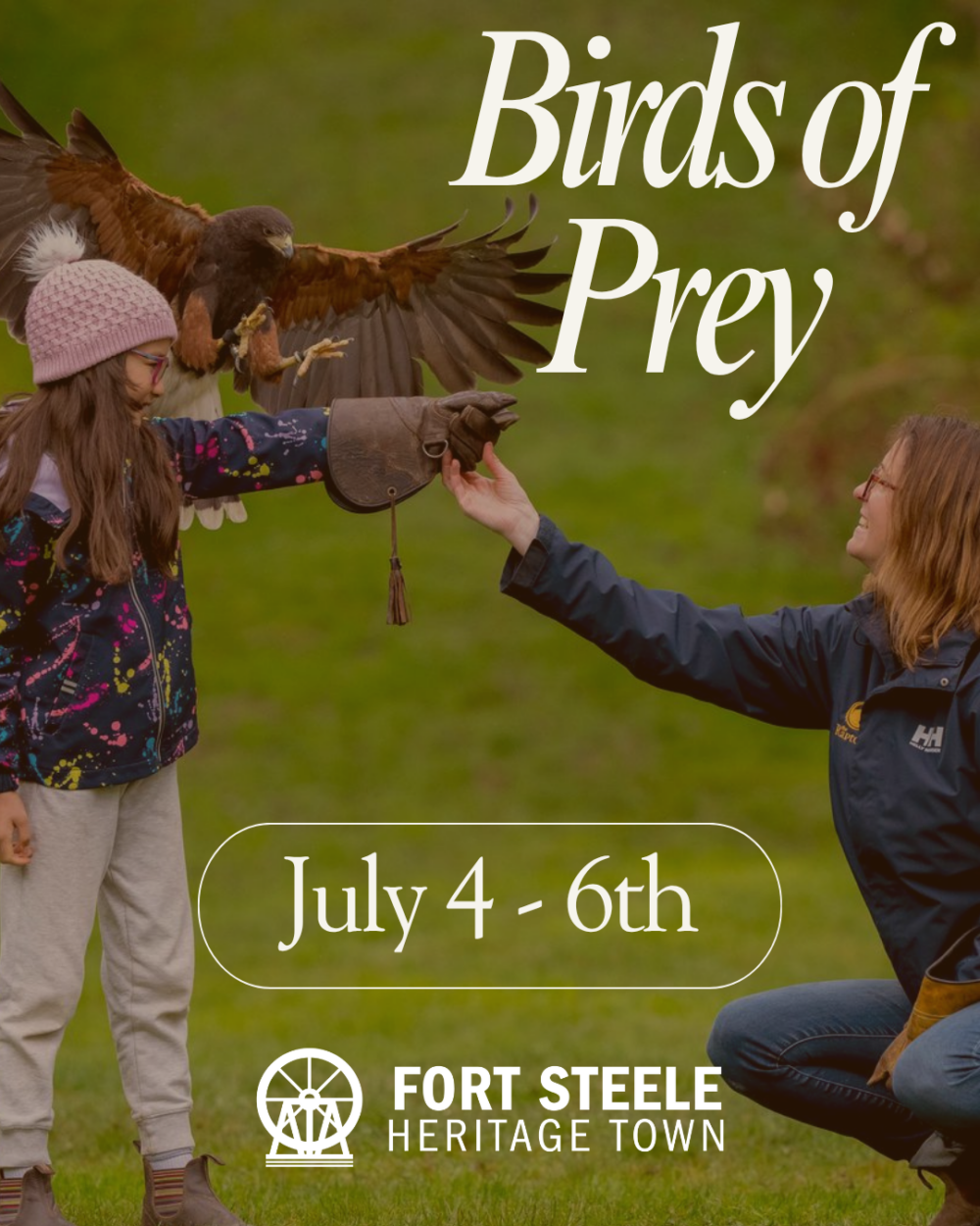 Soar Into Fort Steele: Birds of Prey - Read more on Where Rockies Online Soar Into Fort Steele: Birds of Prey on Where Rockies